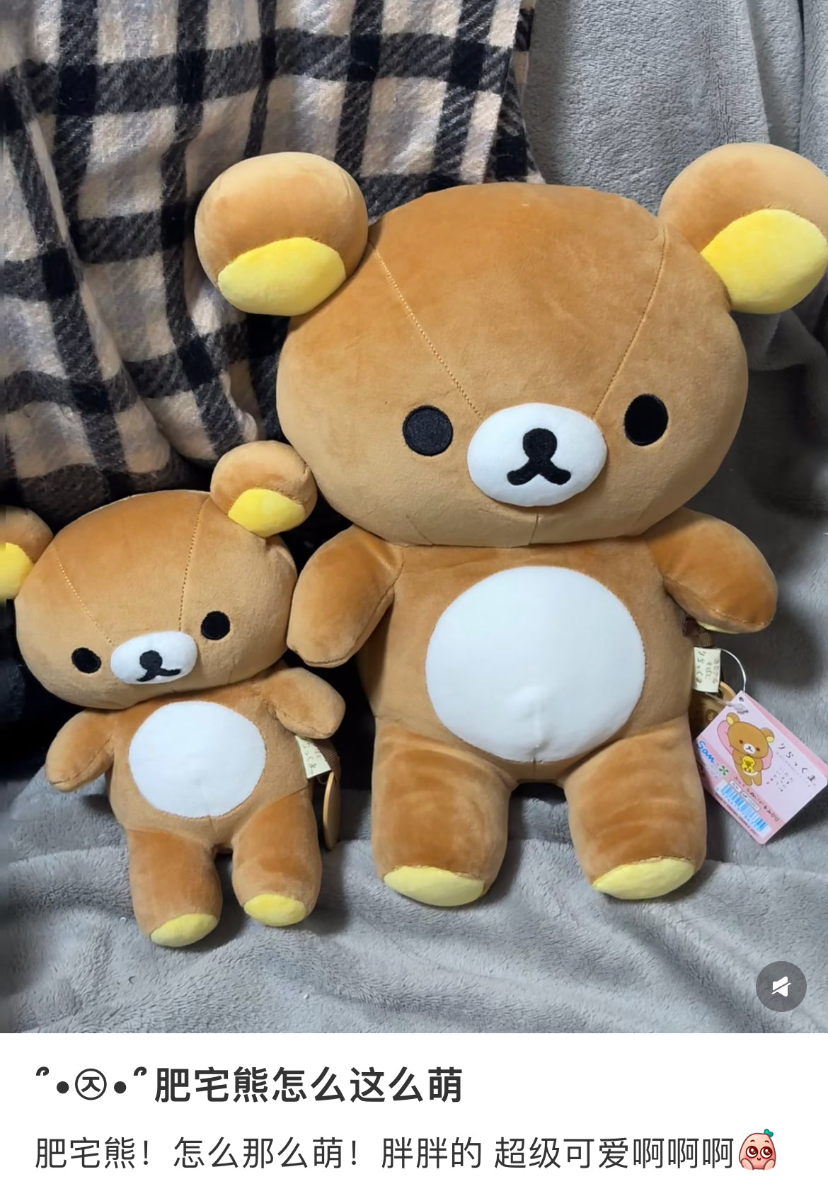 Rilakkuma|Super Mochi Mochi Plush Dolls/Plush Toy|M/300×300×200mm approx.