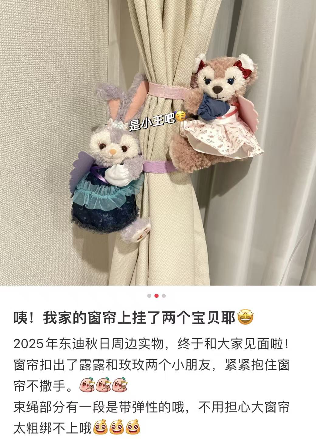 Disney|Duffy & Friends"Wishing Wings" Collection Curtain/Decorative/ArmPlush Toy