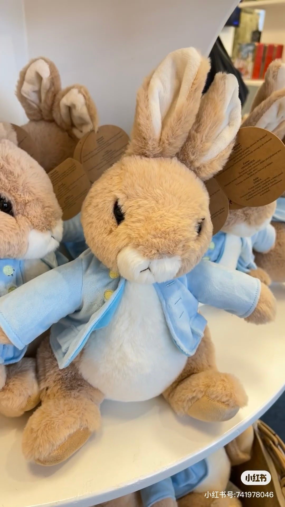 Petter Rabbit|Fluffy Medium Plush Dolls/Plush Toy|M/H22 x W14 x D12cm approx.