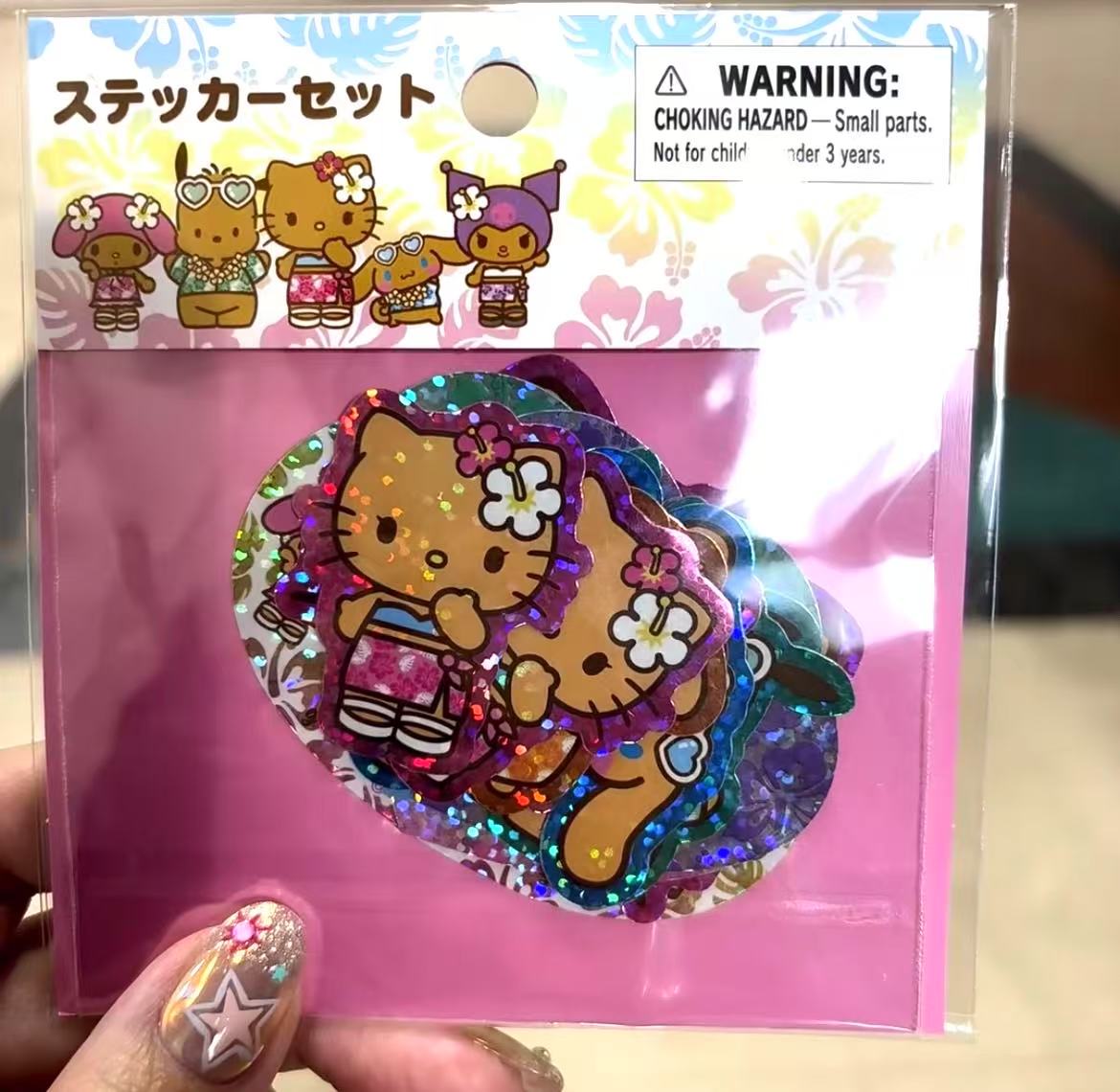 Sanrio|Endless Summer Vacation Sticker Set|17 piece