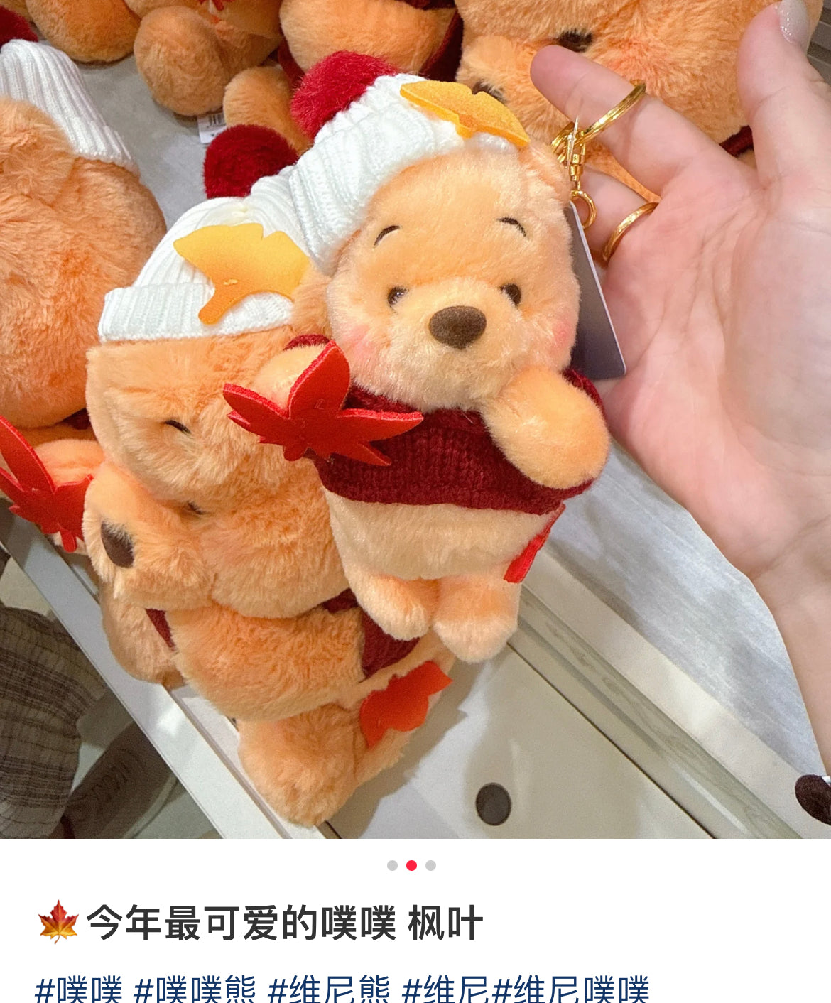 Disney|Momiji Winnie the Pooh Mascot Holder /Plush Keychain|17.5×9.5×8.5(cm) approx.