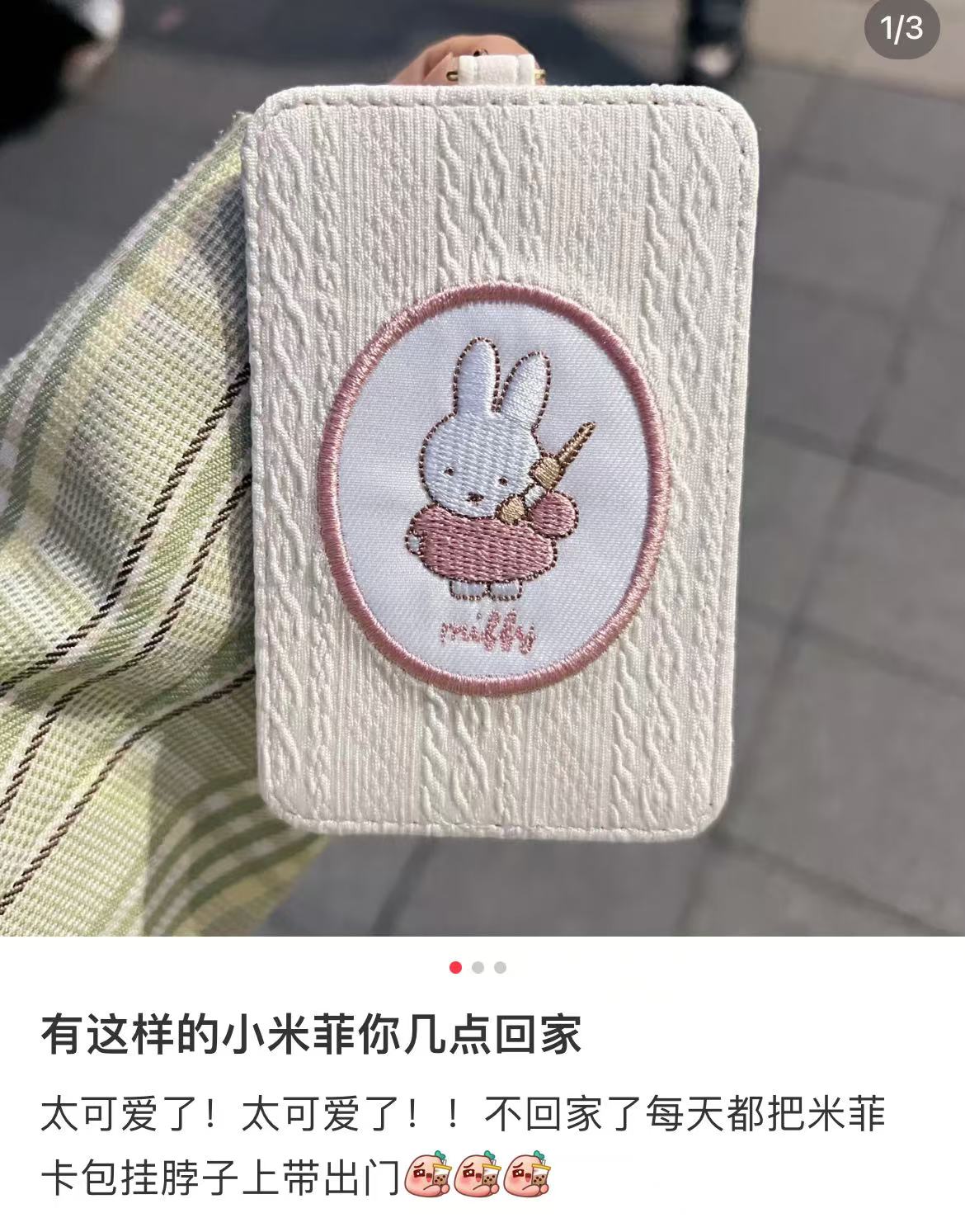 Miffy|Pass Case|11cm x 7cm x 0.7cm approx.