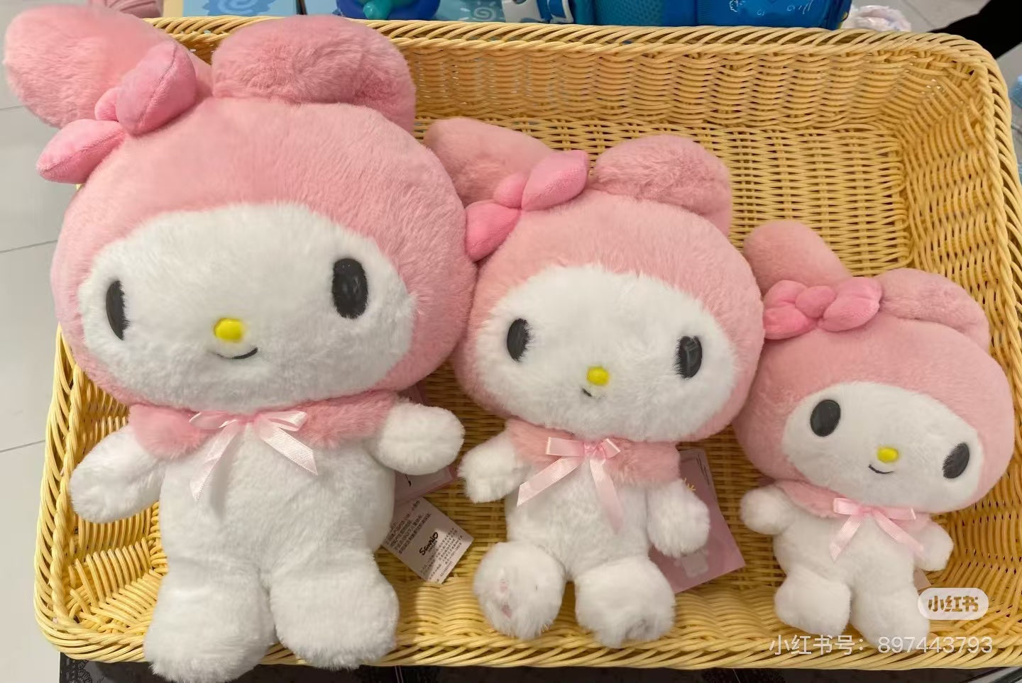 Sanrio|Standard Plush Dolls/Plush Toy|M/22×15×28.5cm approx.