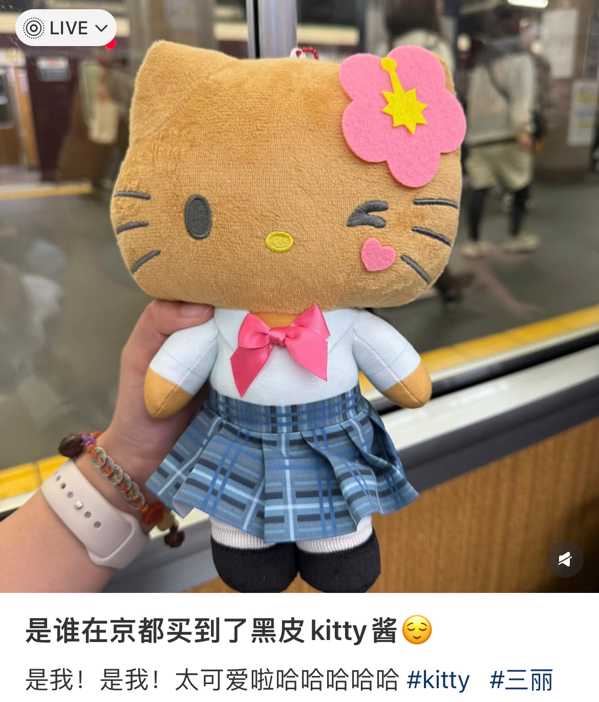 Sanrio|Hatakeyama Shoji Mascot Holder /Plush Keychain|H24.0cm approx.✔️