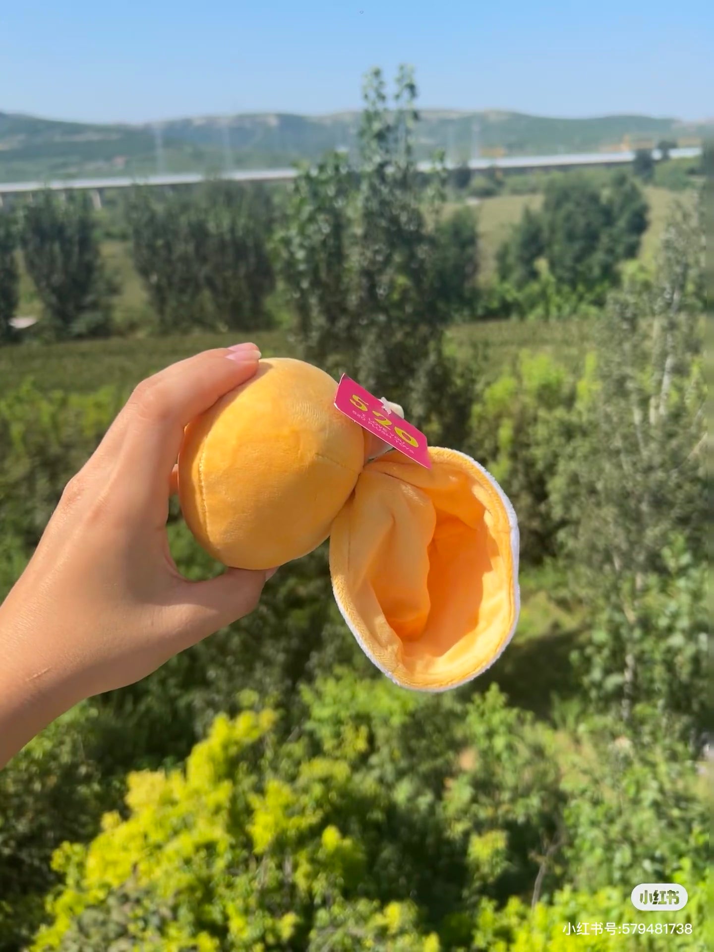 【limit 1】Chiikawa|Christmas 2025 Mascot Holder /Plush Keychain|90×110×100mm approx.