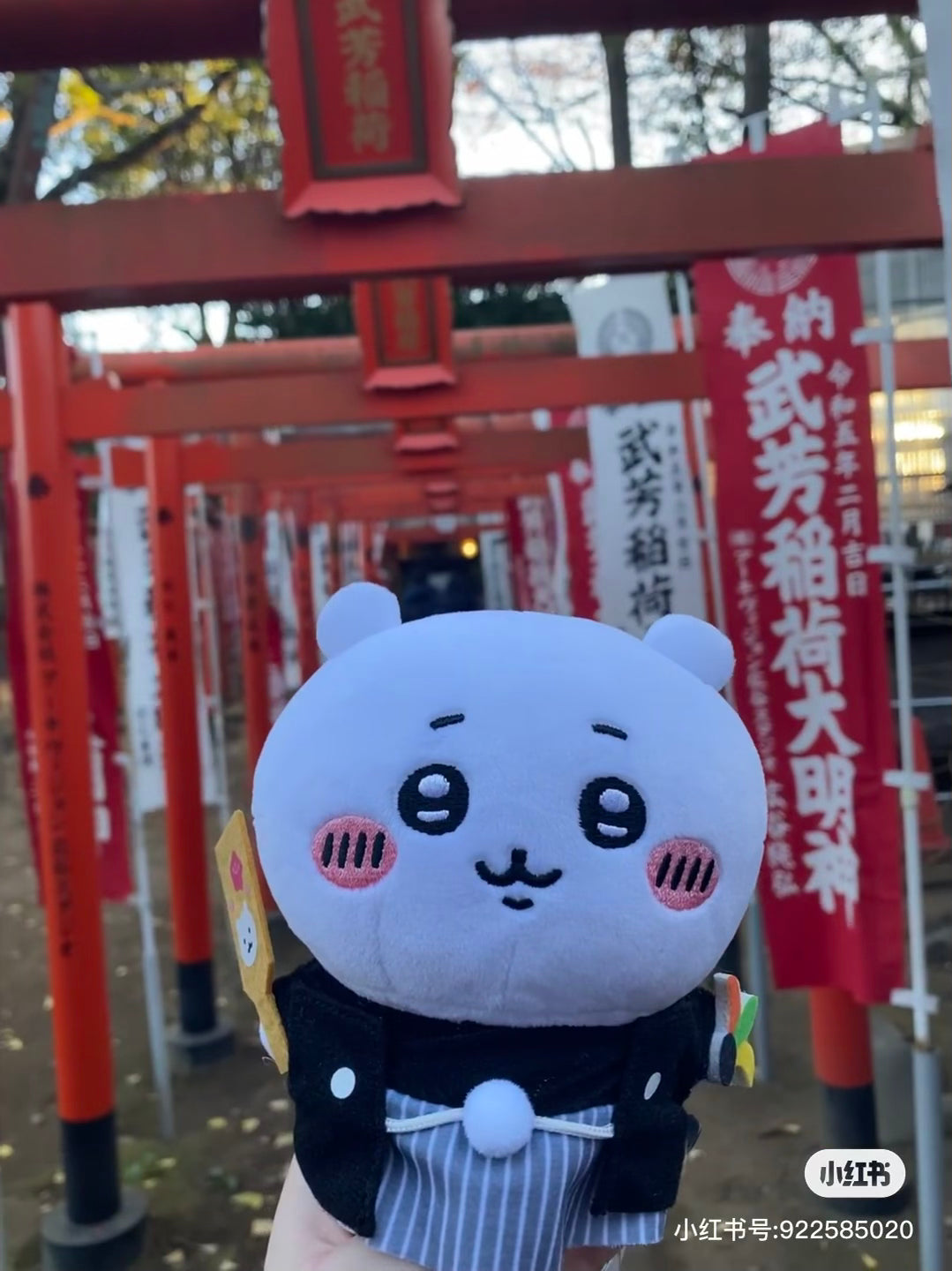 Chiikawa 吉伊卡哇|正月新年系列玩偶/公仔|约H145×W155×D90mm