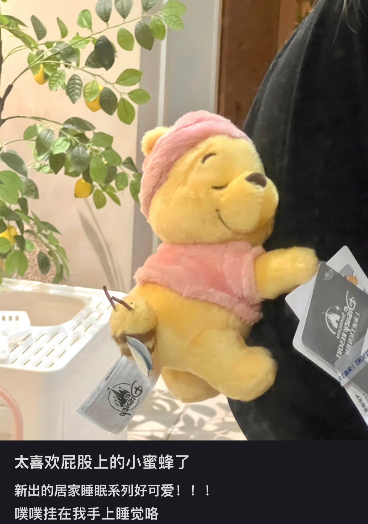 Disney SH|winnie the pooh居家维尼/晚安睡帽噗噗窗帘绑/窗帘挂/也可戴在手臂上|约20cm