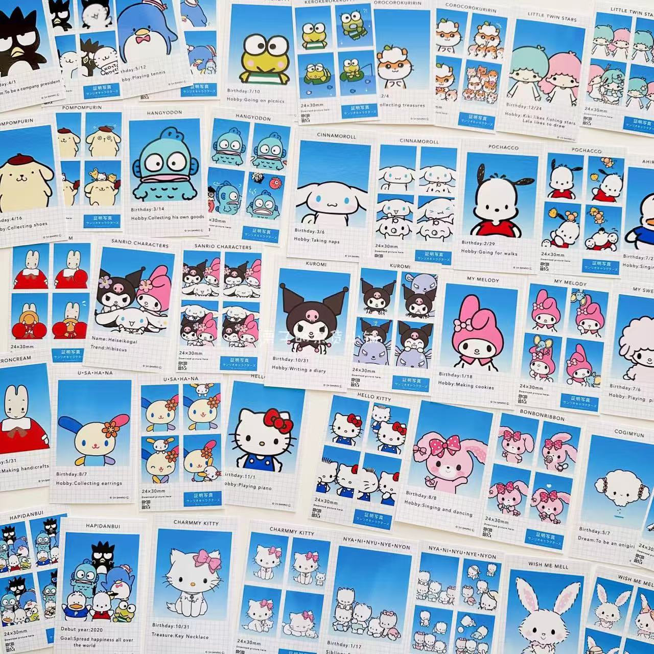 Sanrio|Secret ID Photo Style Smartroid mystery bag/blind box/All 24 types|1pcs
