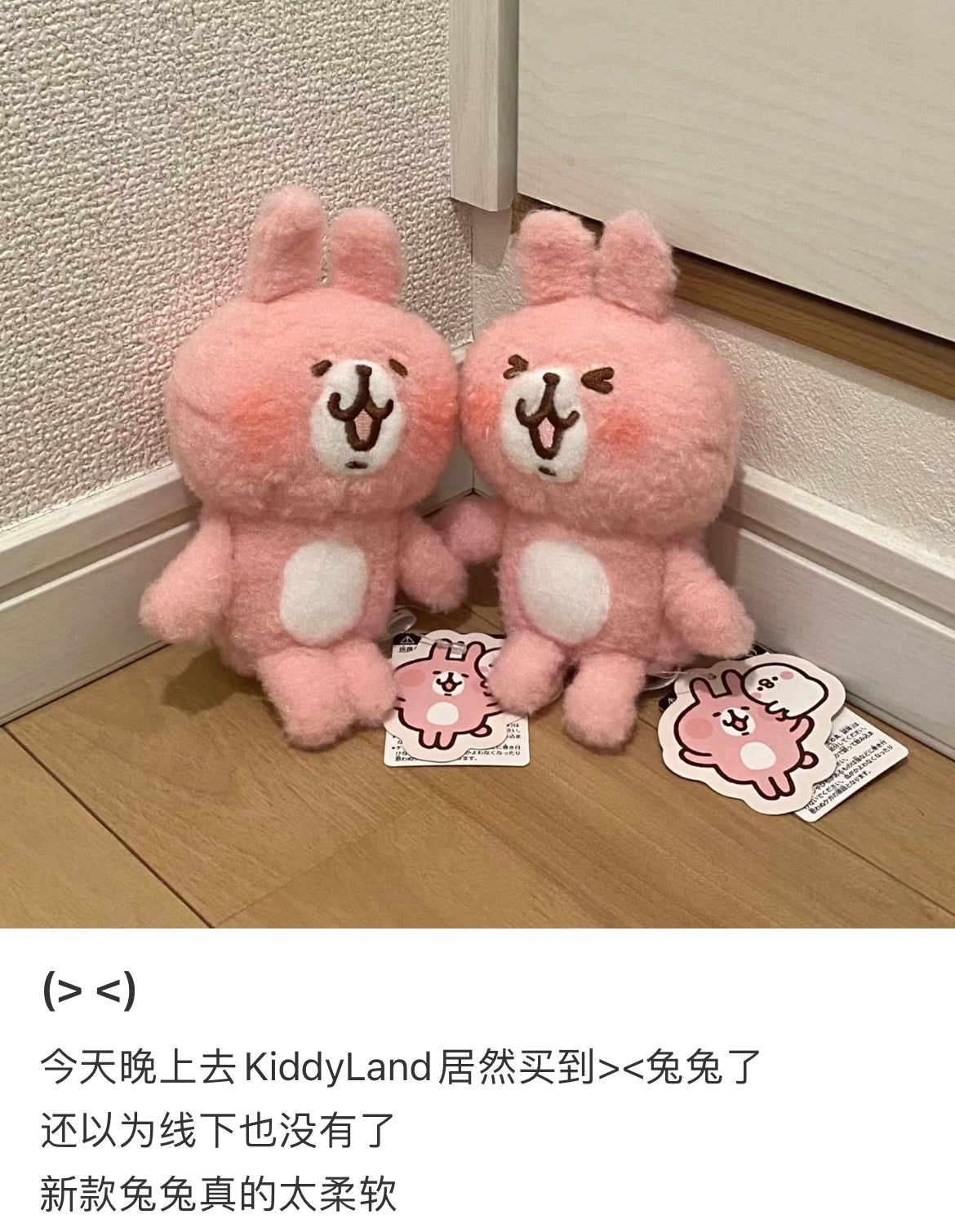 Kanahei|Small Animals Fluffy stuffed Rabbit/Kyaha| H15 x W10.5 x D8.5 cm Approx.