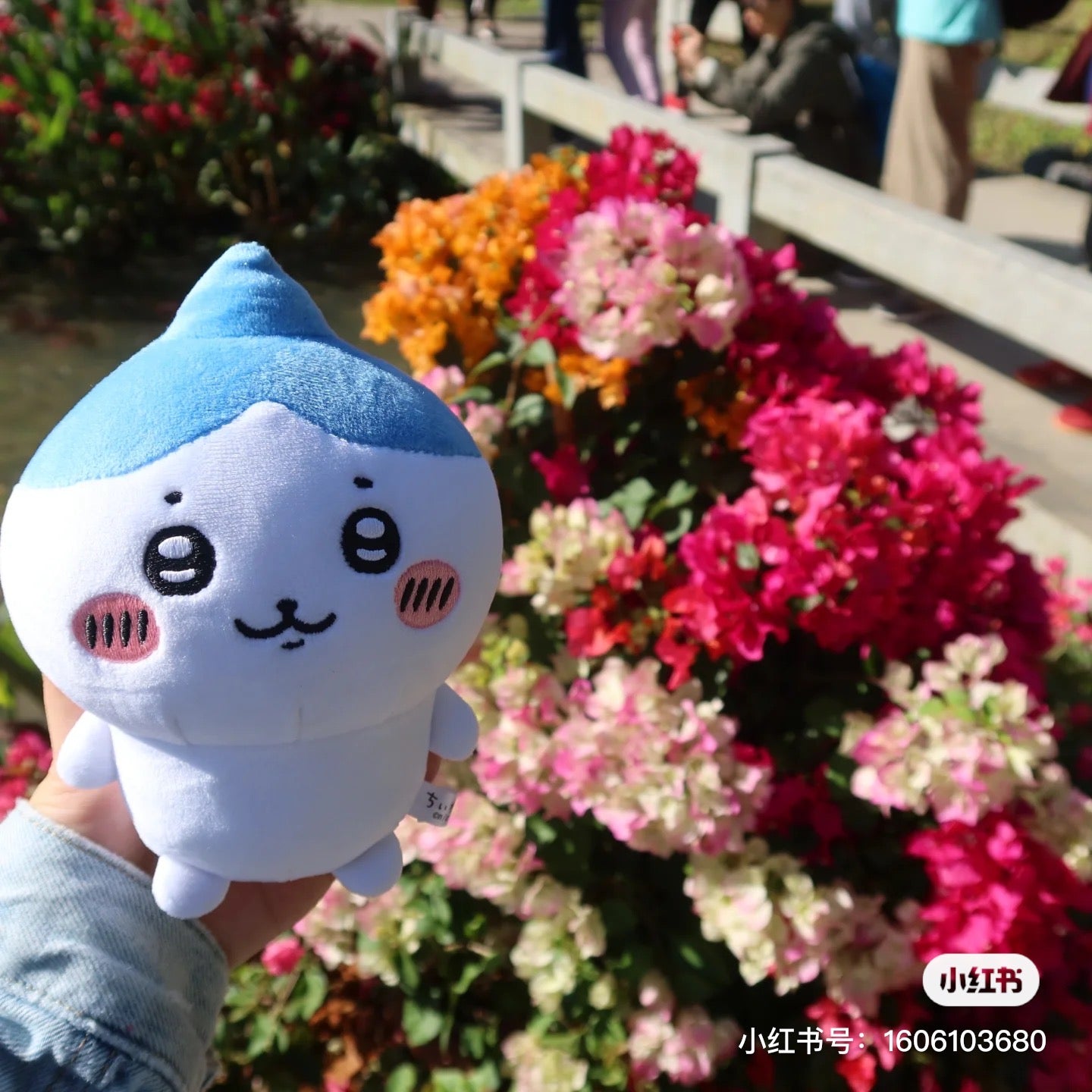 Chiikawa 吉伊卡哇|蒜头小八公仔/玩偶|约H160×W110×D80mm