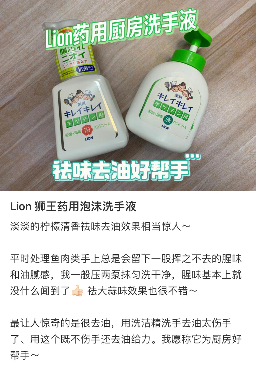 Lion狮王|Kitchen Antibacterial Cleansing Hand Soap趣净药用厨房用去腥味去油泡沫洗手液|230ml