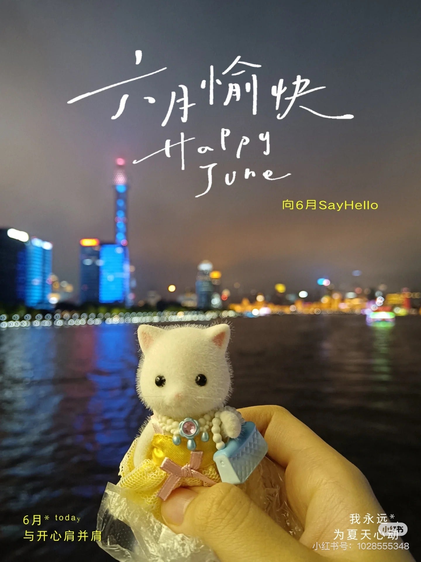 SylvanianFamilies森贝儿家族|Baby Clothes Lot By Princess波斯猫公主裙套装5645