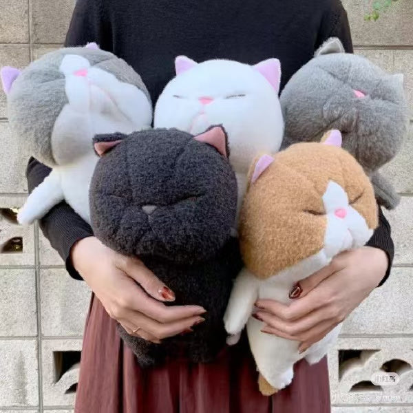 Bouneko|A cat like Bou stuffed toy Plush Dolls/Plush Toy|L/30 x 25 x 14cm approx.