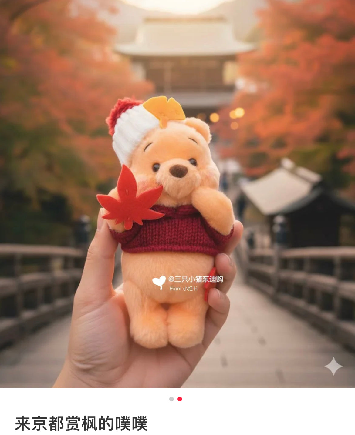 Disney|Momiji Winnie the Pooh Mascot Holder /Plush Keychain|17.5×9.5×8.5(cm) approx.