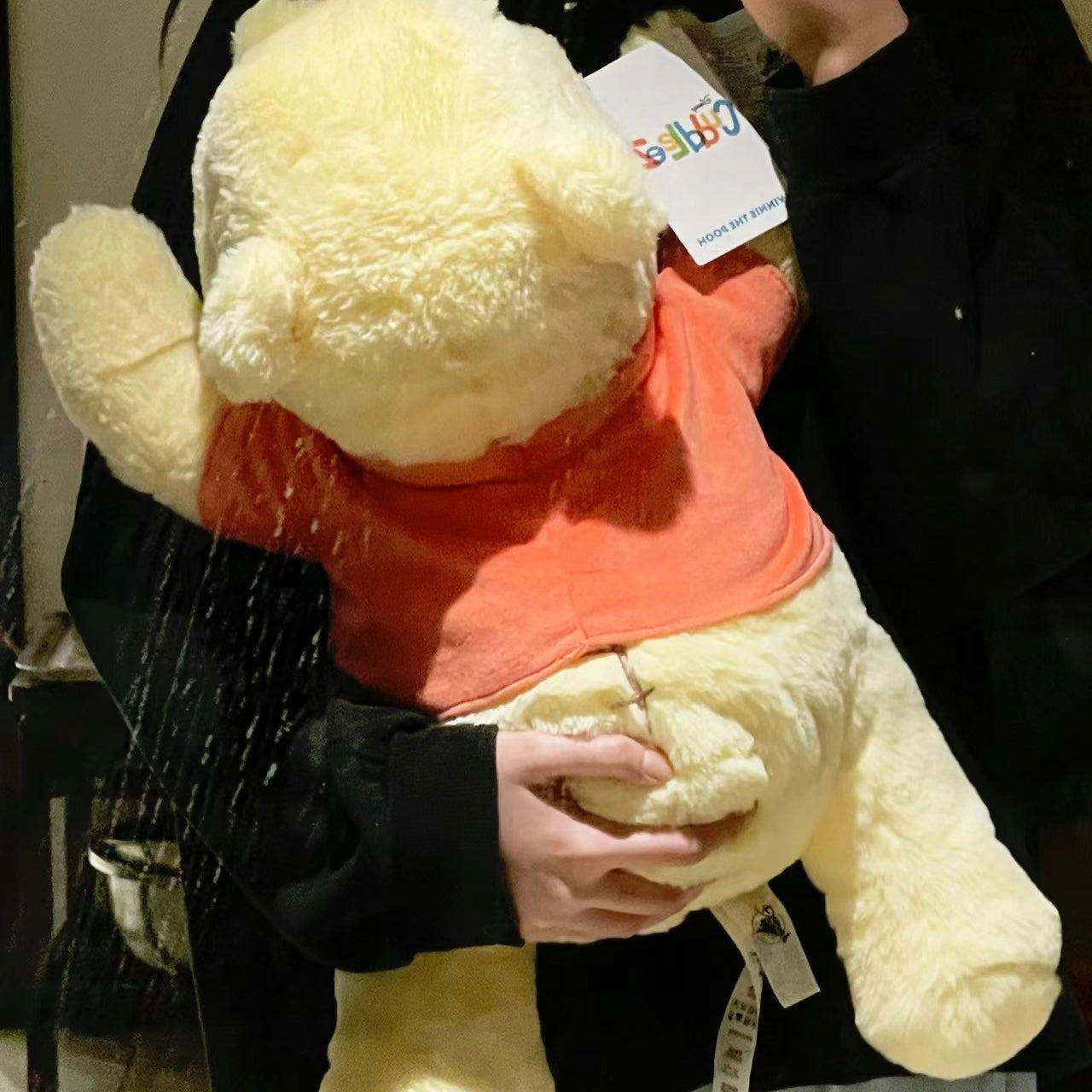 Disney SH|winnie the pooh趴趴fluffy维尼玩偶/公仔