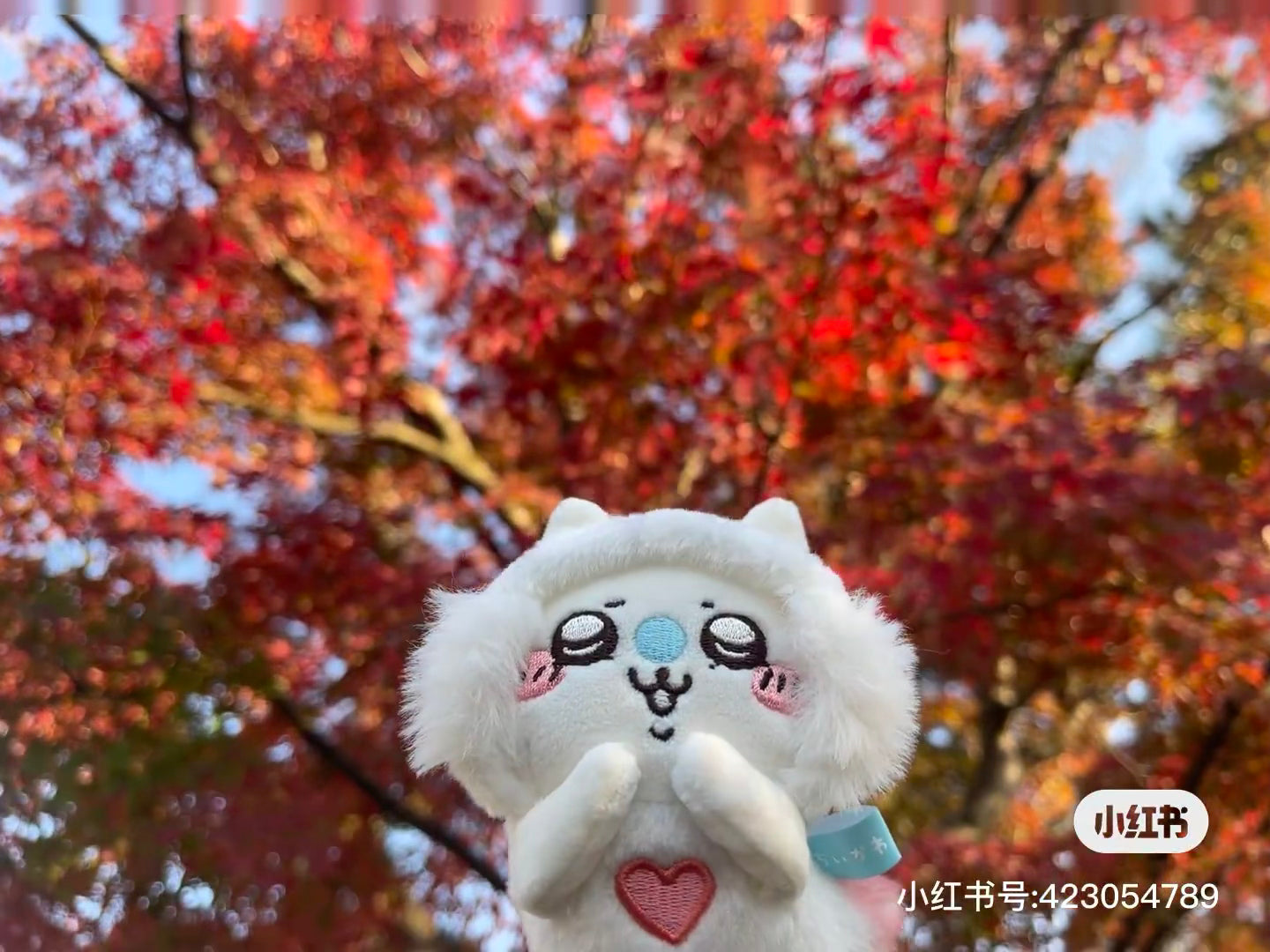 Chiikawa 吉伊卡哇|水族馆系列爱心飞鼠挂件|約H100×W90×D55mm