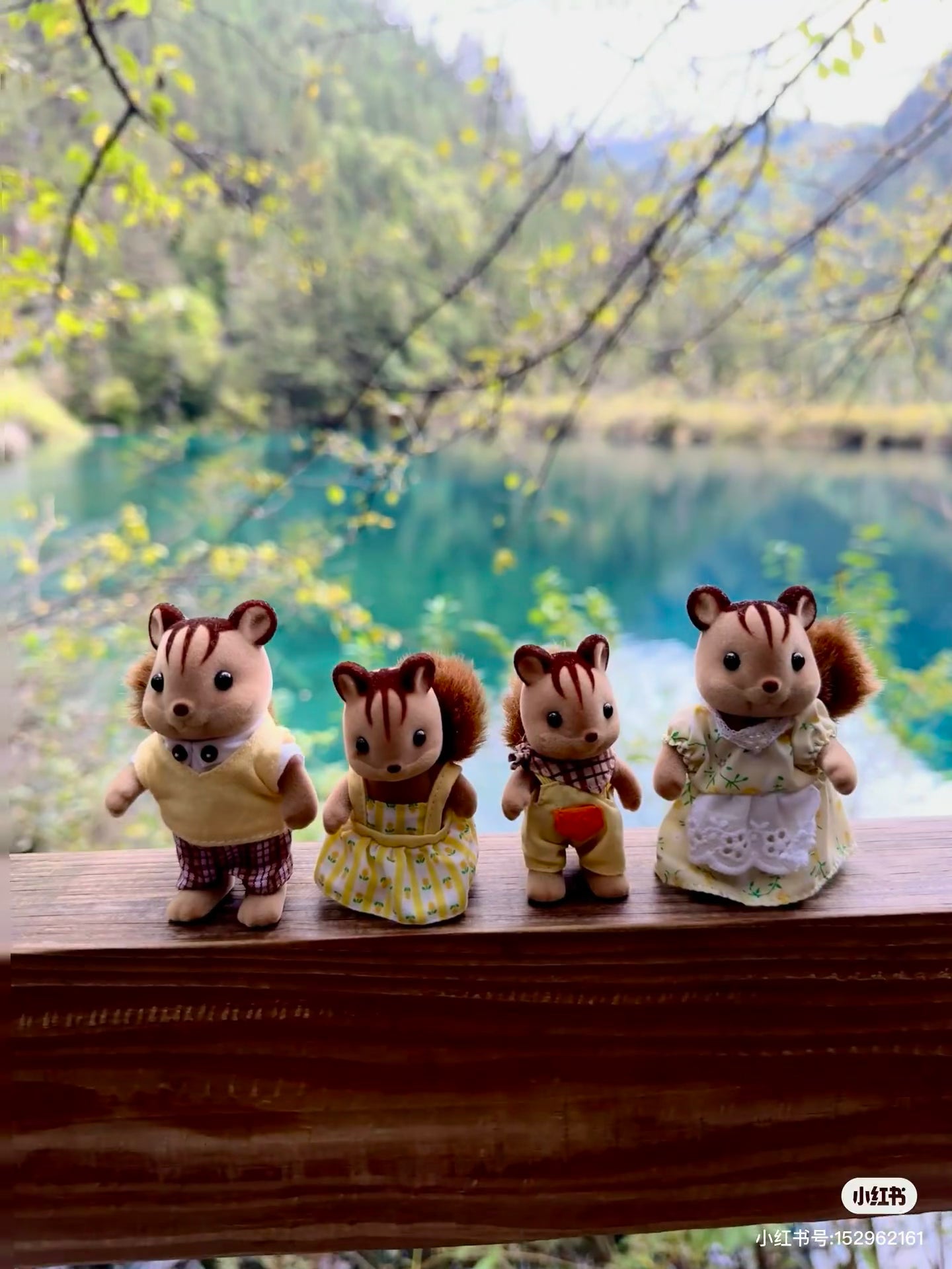 SylvanianFamilies|Walnut Squirrel Boy Doll