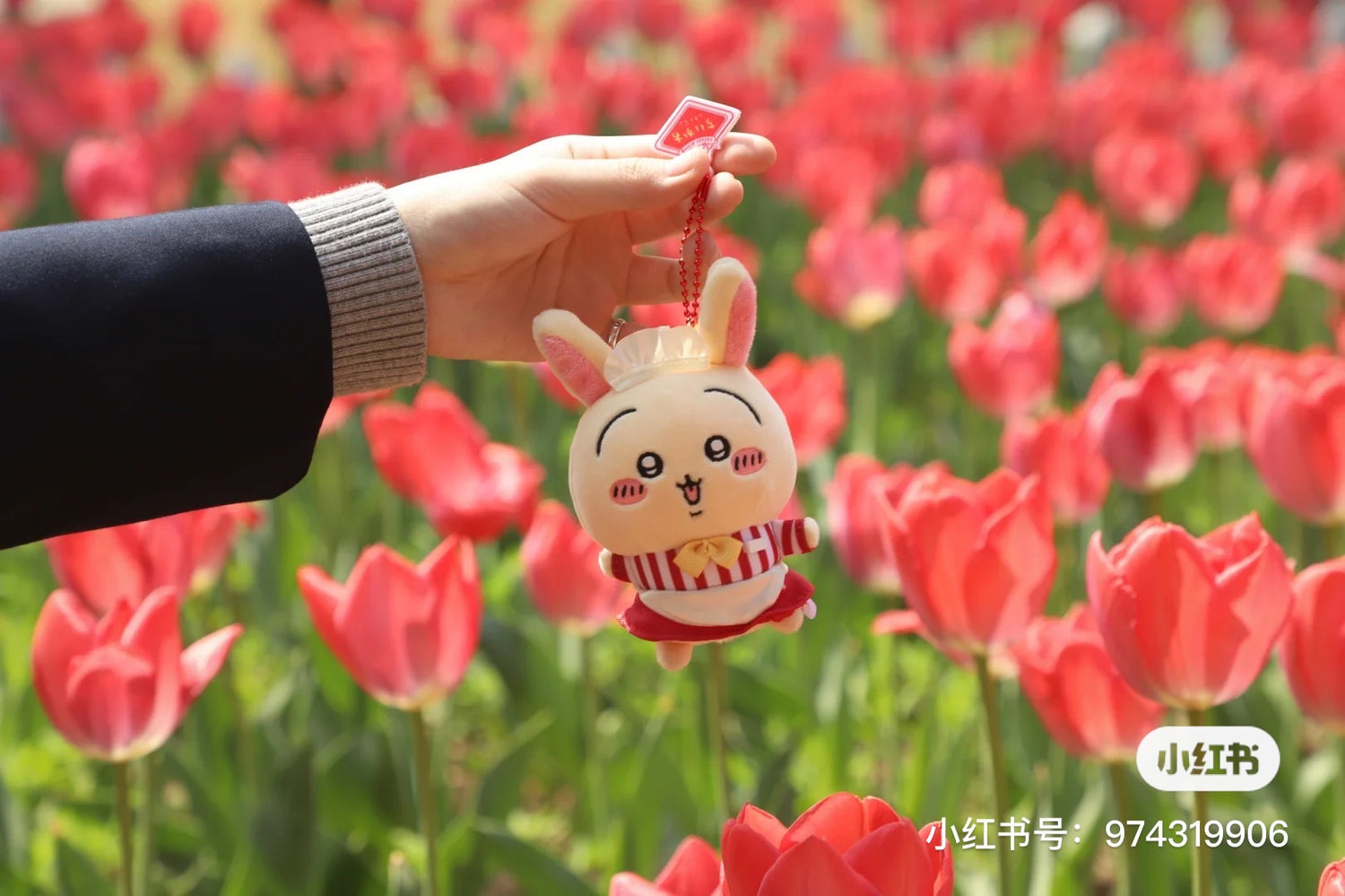 Chiikawa 吉伊卡哇|餐厅系列可爱挂件/包挂|約H120×W90×D50mm/limit one