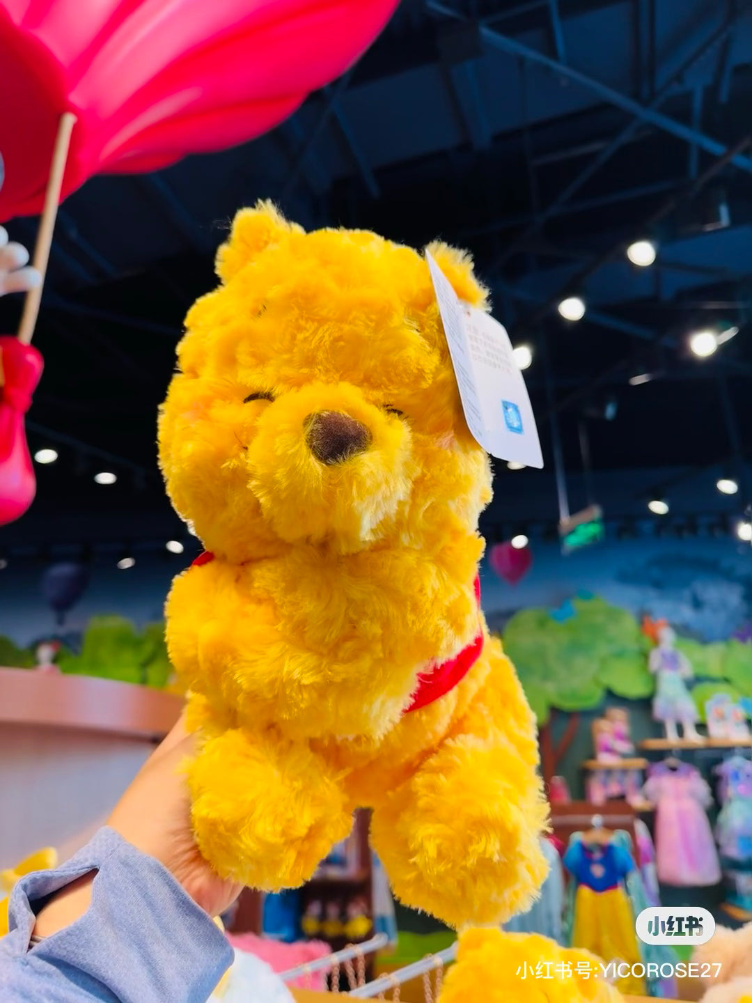 Disney|东迪眯眯眼抱抱你系列/卷毛玫瑰绒公仔/玩偶|約35×35×27cm