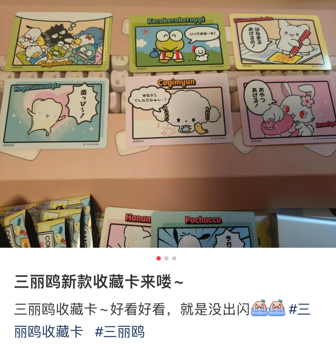 Sanrio| Collector&