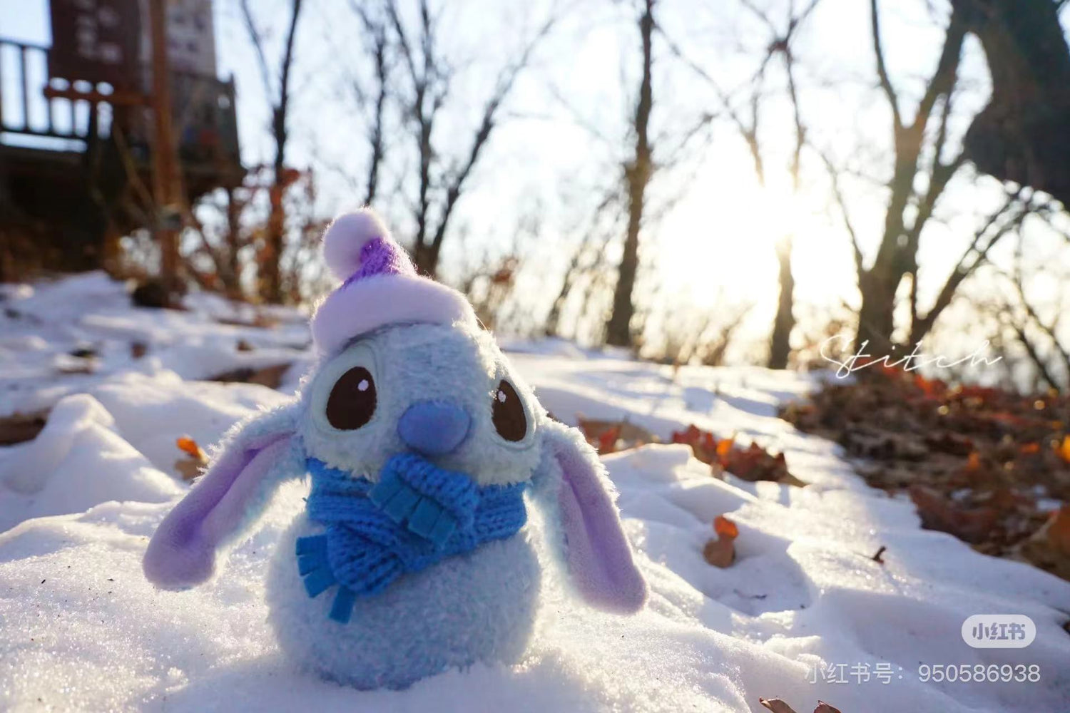 Disney |冬日雪人系列史迪仔|高さ約25×幅21×奥行き13.5cm