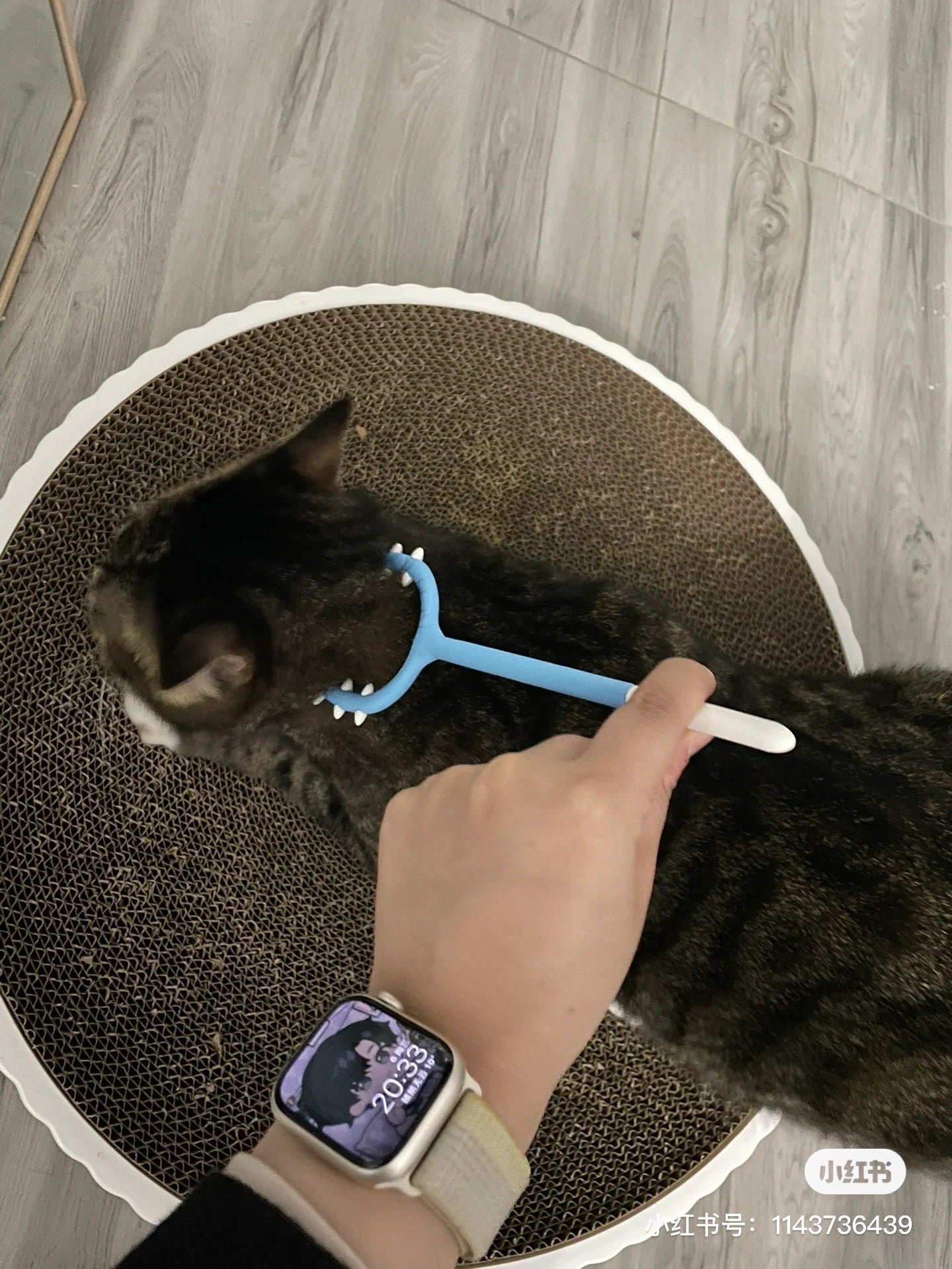 Chiikawa 吉伊卡哇|超可爱讨伐/讨伐棒叉型笔|约H210 x W70 x D7mm