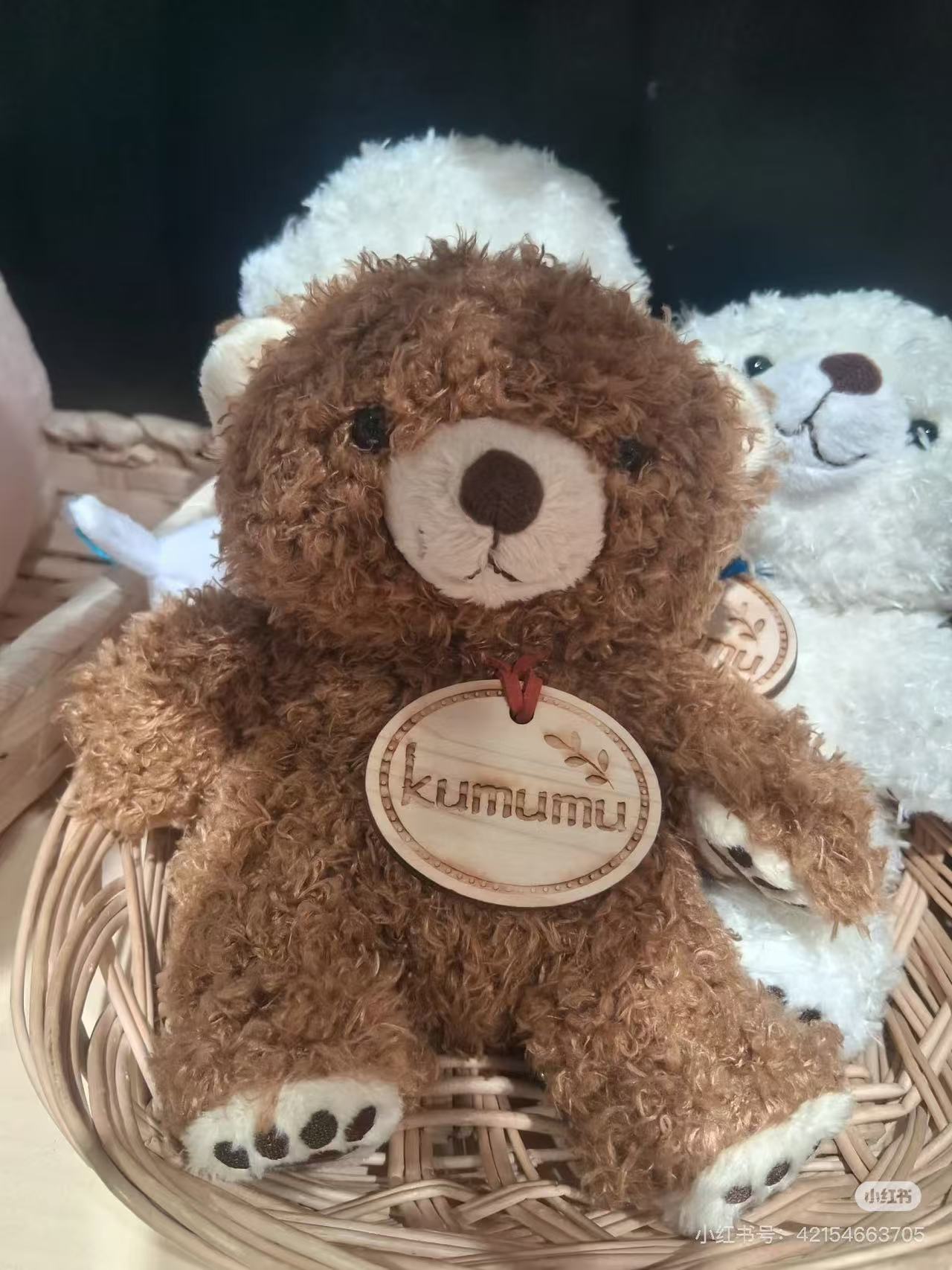 Kumumu|Bear Plush Dolls/Plush Toy|Height 20cm approx.