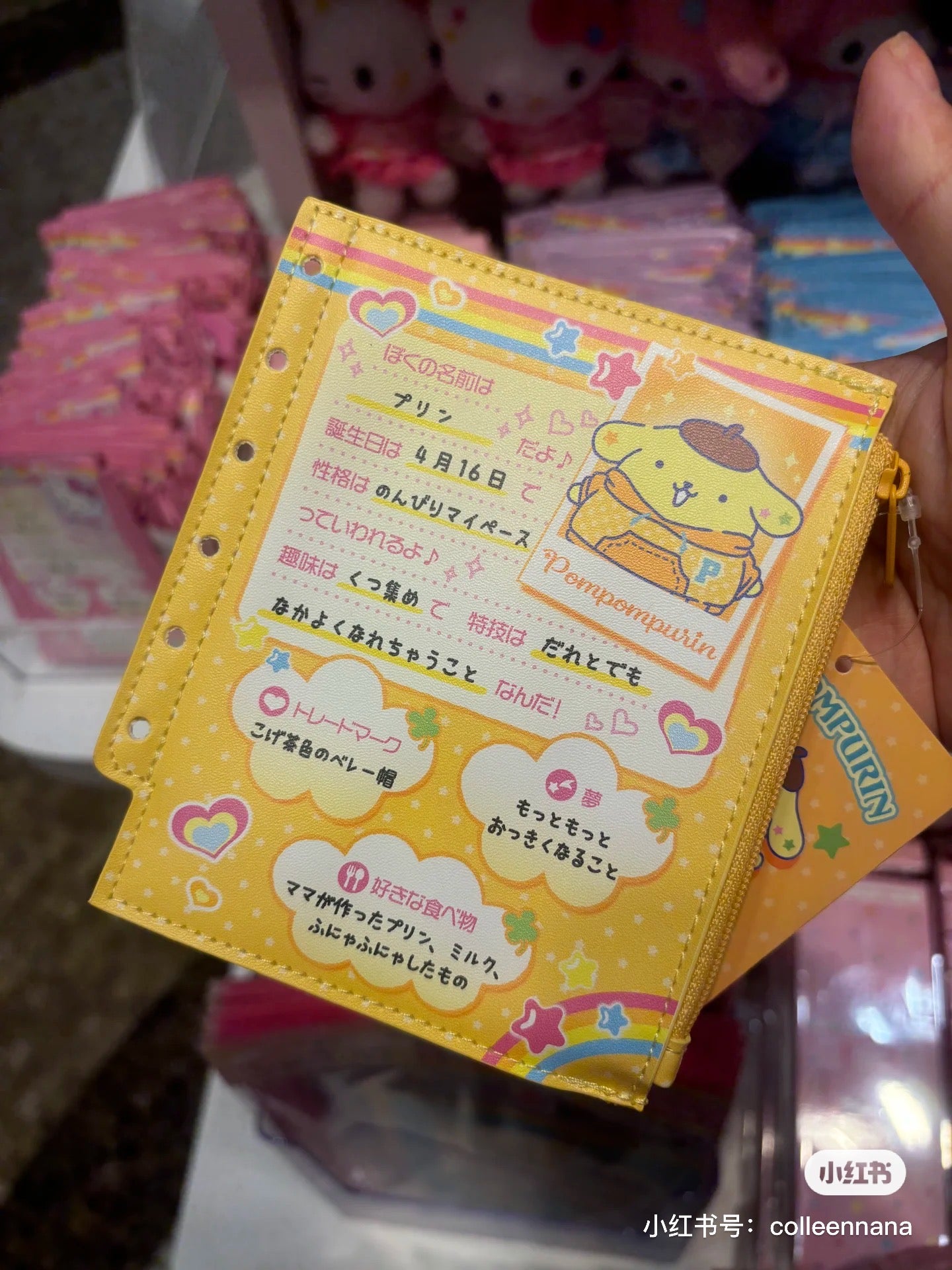 Sanrio|Nostalgic Profile Book Mini Pouch |12×0.8×14cm approx.