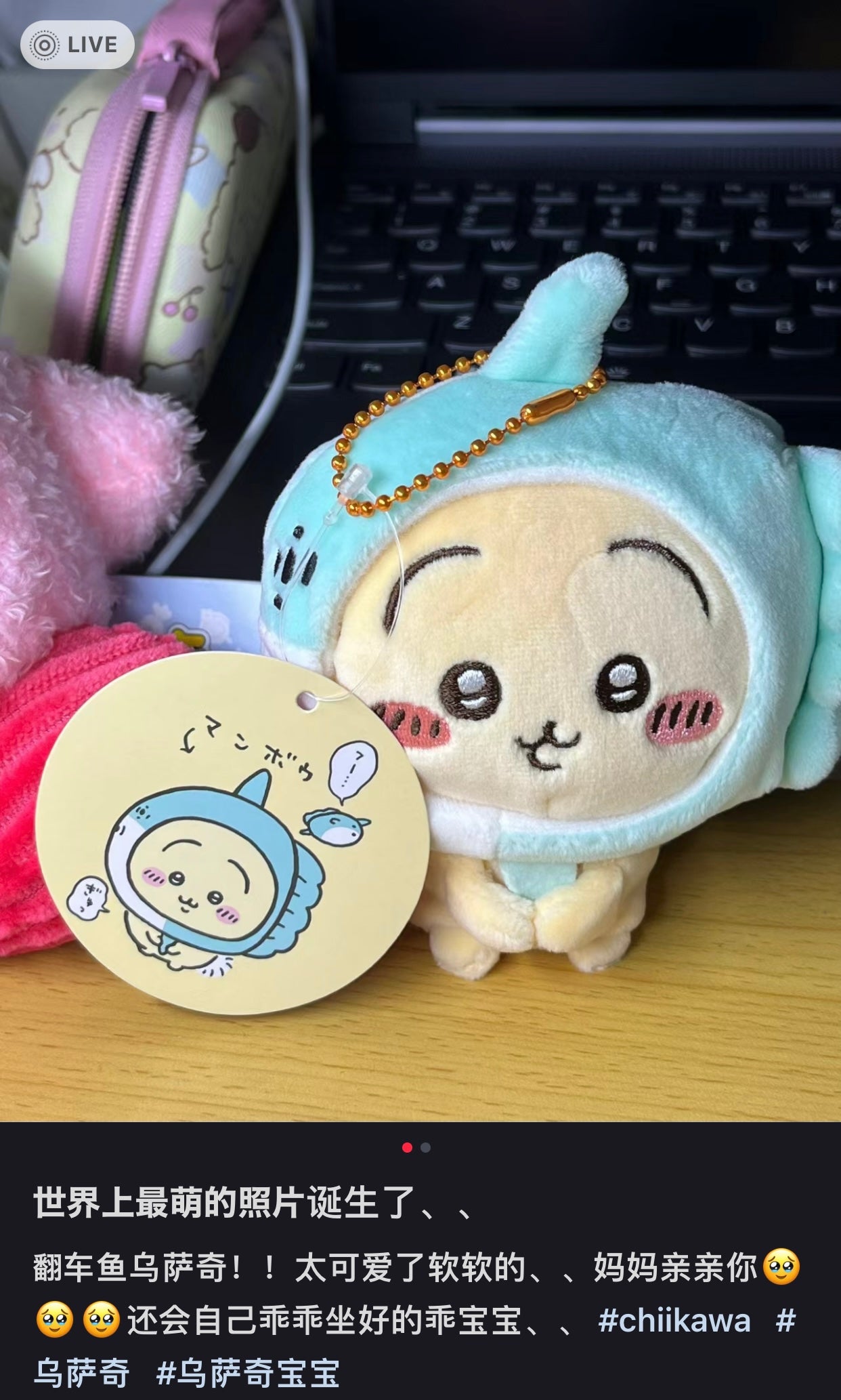 Chiikawa 吉伊卡哇|水族馆系列限定挂件