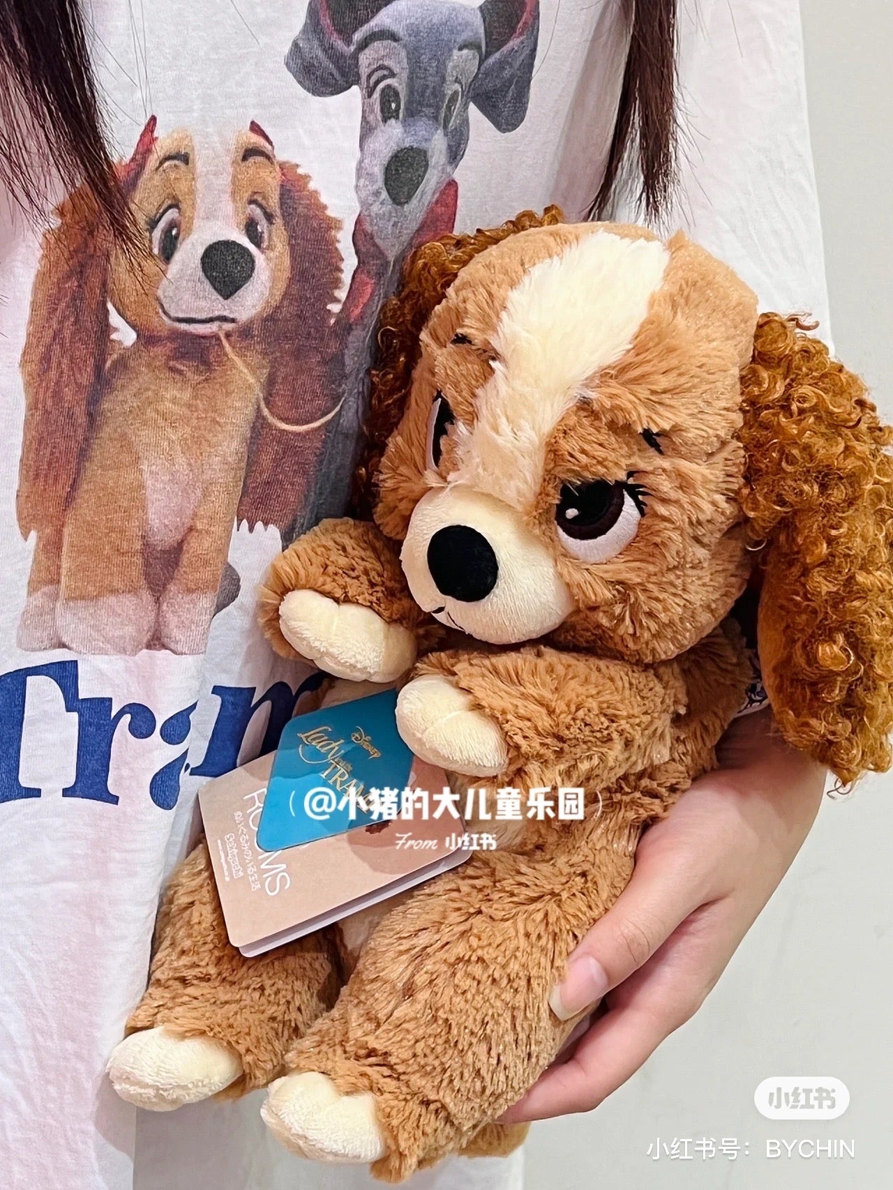 Disney迪士尼|东迪Soft Plush Doll Lady超柔软淑女大小姐狗狗公仔/玩偶|约H12×W14×D32cm