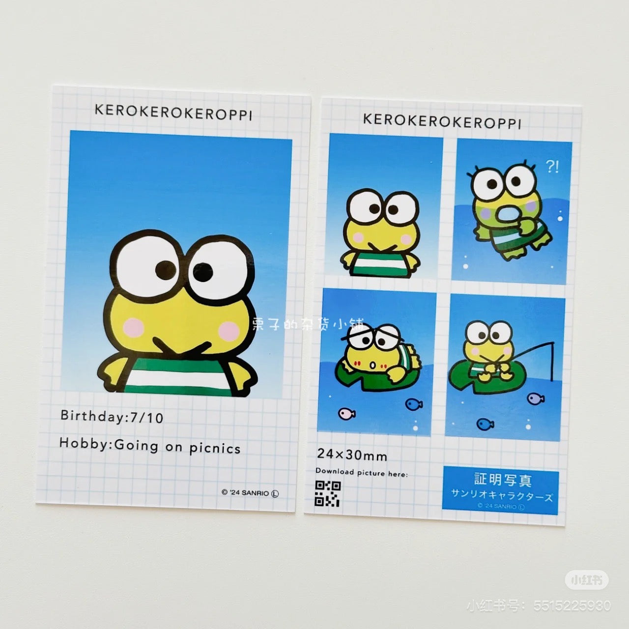 Sanrio|Secret ID Photo Style Smartroid mystery bag/blind box/All 24 types|1pcs