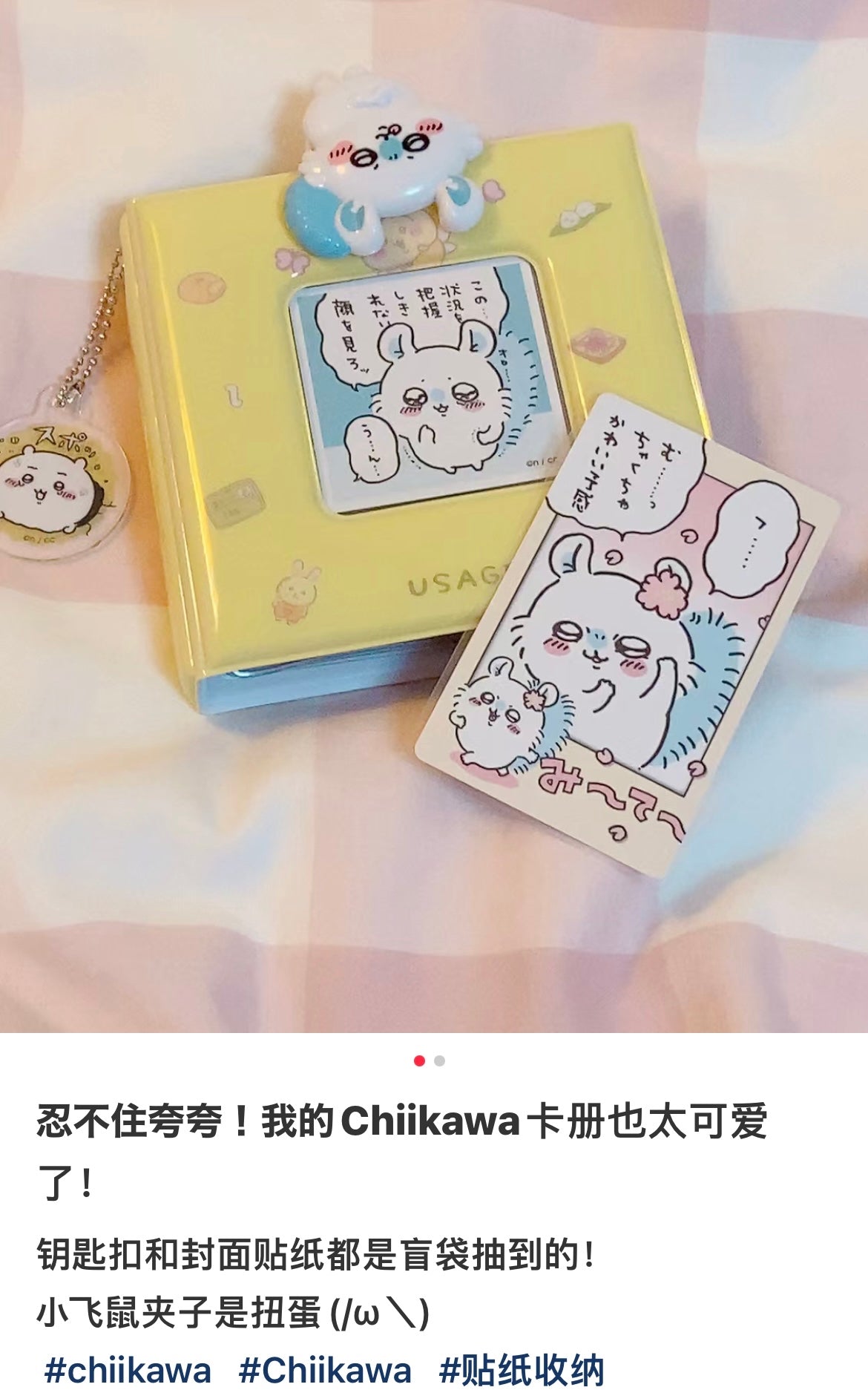 Chiikawa 吉伊卡哇|软软外壳卡册/手掌相册/拍立得相册/邮票/贴纸收藏/抽卡收藏/侧面还可挂挂链|10卡位入