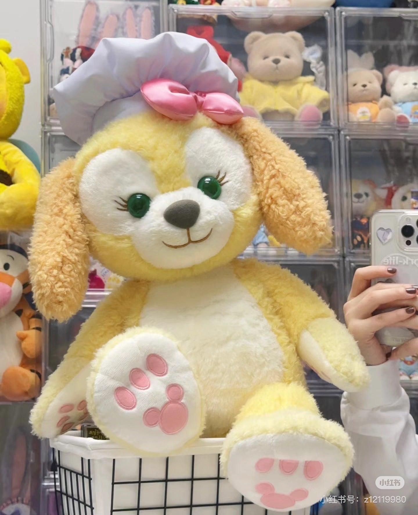 Disney SH|cookie ann可琦安饼饼大型玩偶/公仔/M饼|M号