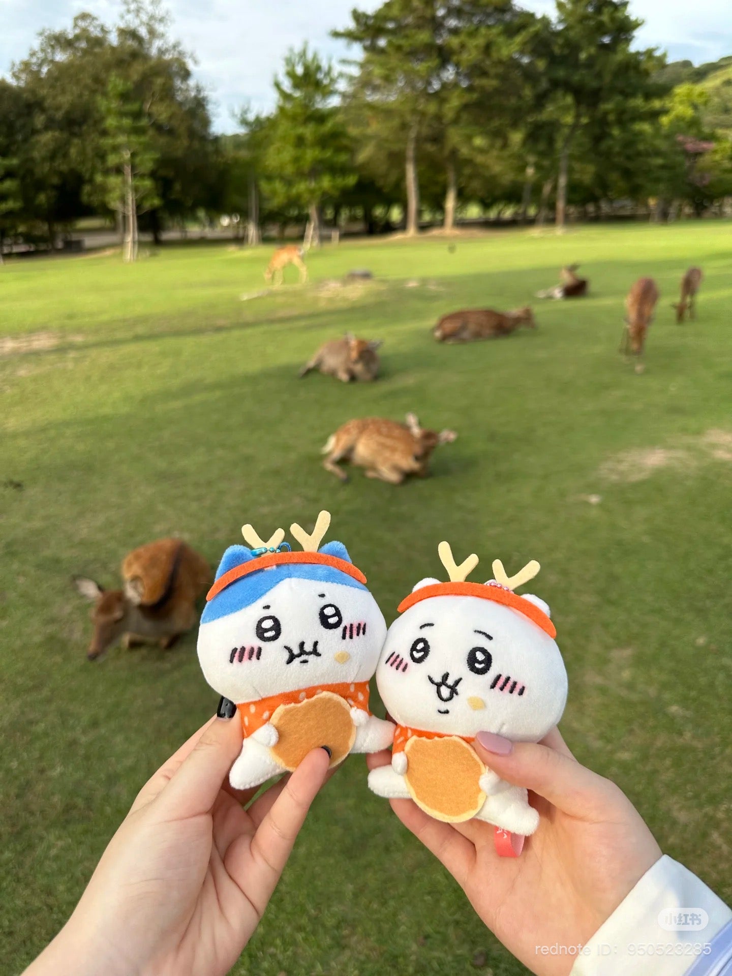 Chiikawa |Local Limited Deer Hanging Mascot Holder / keychain