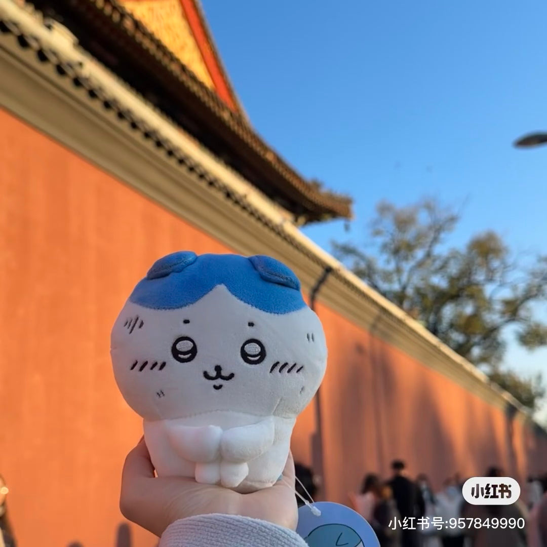 Chiikawa 吉伊卡哇|委屈抱腿坐姿玩偶/公仔|约H120×W120×D100mm