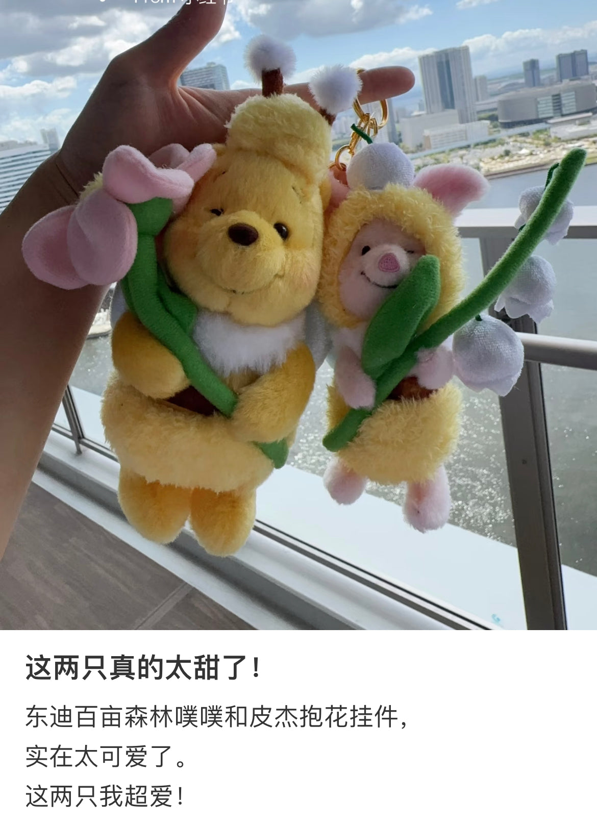 Disney|Flower Garden Mascot Holder /Plush Keychain|H16×W12×D10cm approx.