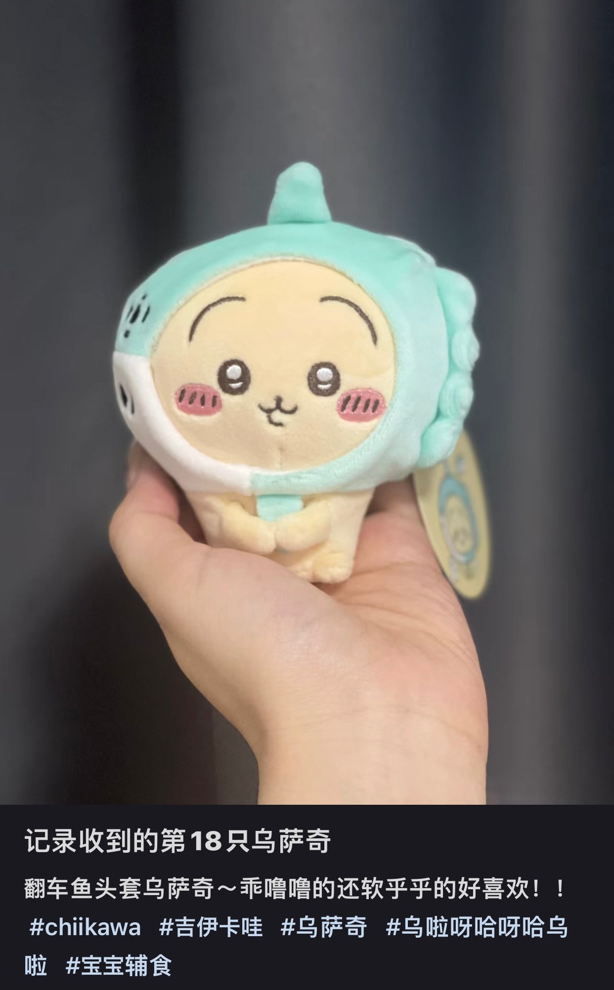 Chiikawa 吉伊卡哇|水族馆系列限定挂件