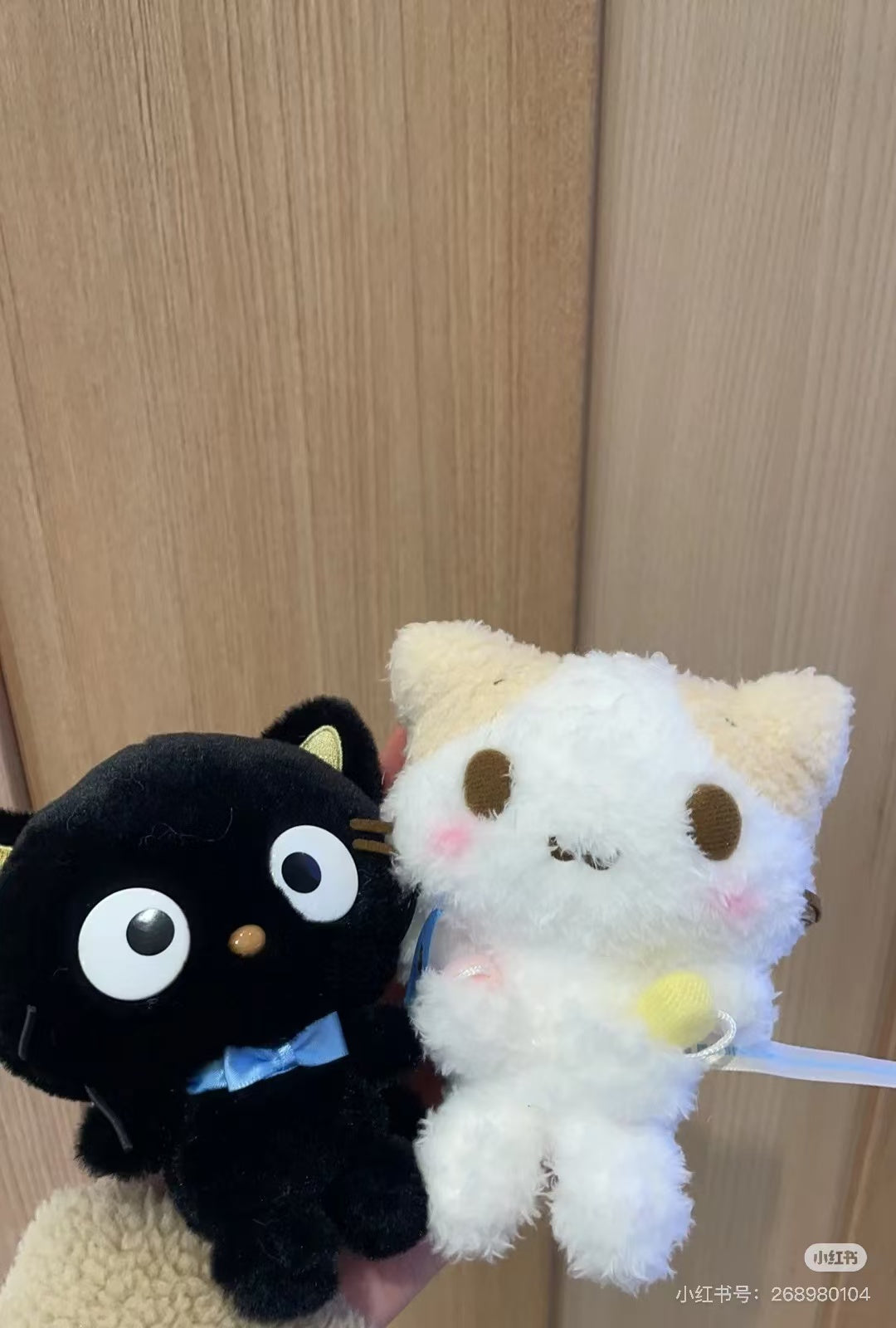 Sanrio|Cat Club Fluffy marshmallow-like kitty Mascot Holder /Plush Keychain| W11 x D7 x H13cm approx.