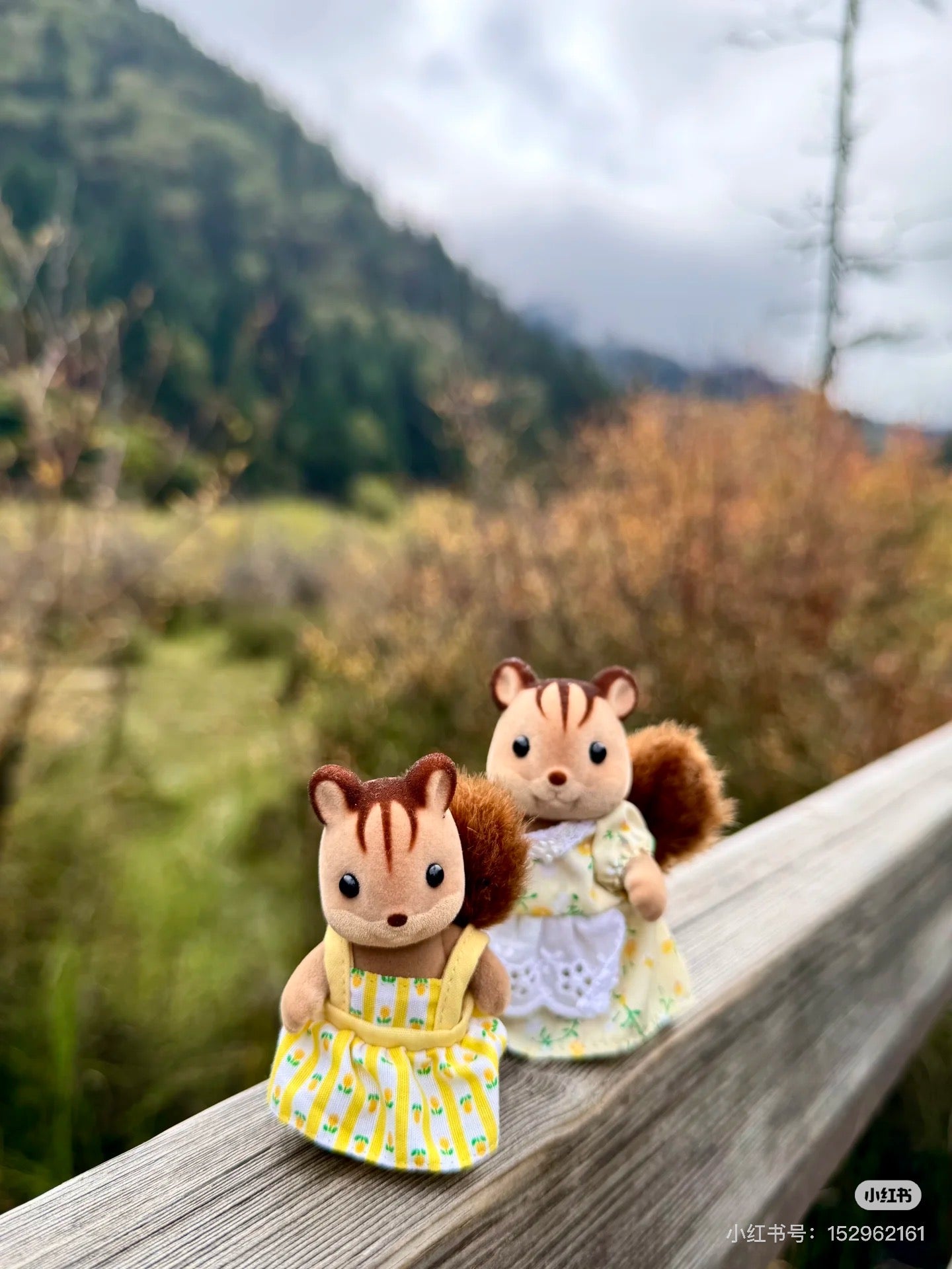 SylvanianFamilies|Walnut Squirrel Girl Doll