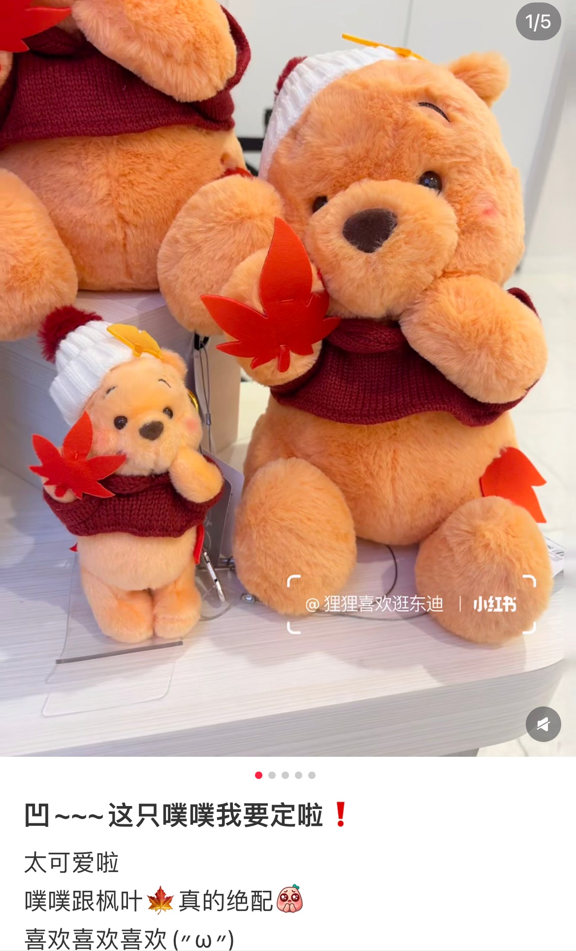 Disney|Momiji Winnie the Pooh Plush Dolls/Plush Toy|H35×W23×D25cm approx.