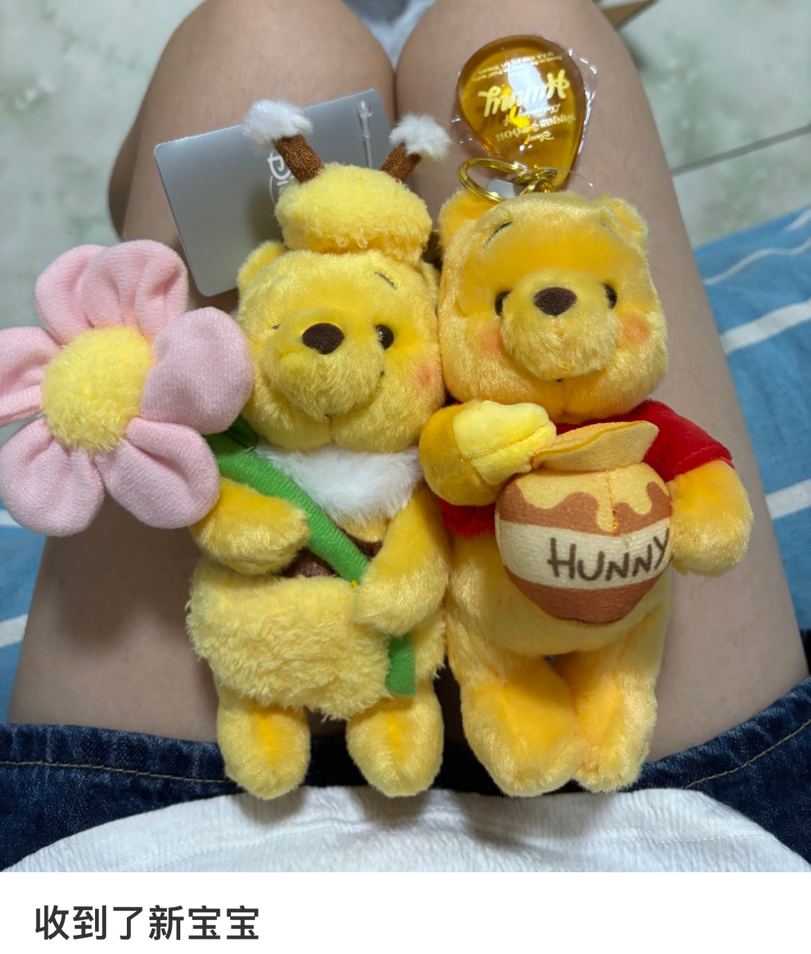 Disney|HONEY DAY 2025 Mascot Holder /Plush Keychain|H16×W12×D10cm approx.