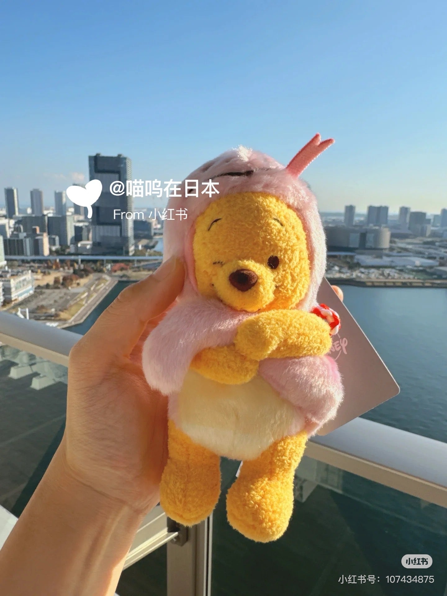 Disney迪士尼|东迪2025蛇年限定粉色pooh噗噗维尼挂件/包挂/可脱帽|約高さ15.5×幅8×奥行き8(cm)