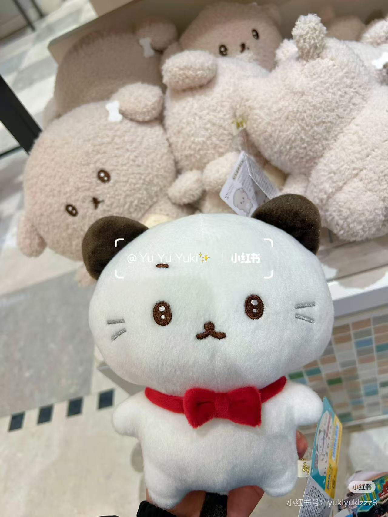 Ishiyowachan|Cat Plush Dolls/Plush Toy|80×70×55mm approx.