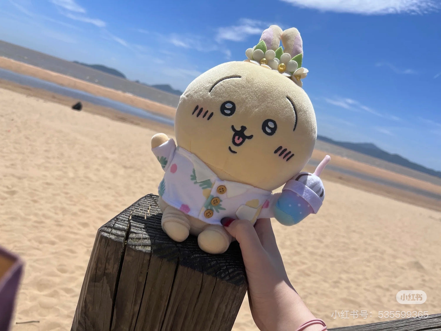 Chiikawa 吉伊卡哇|观光旅行系列公仔/玩偶|约H260 x W160 x D110mm