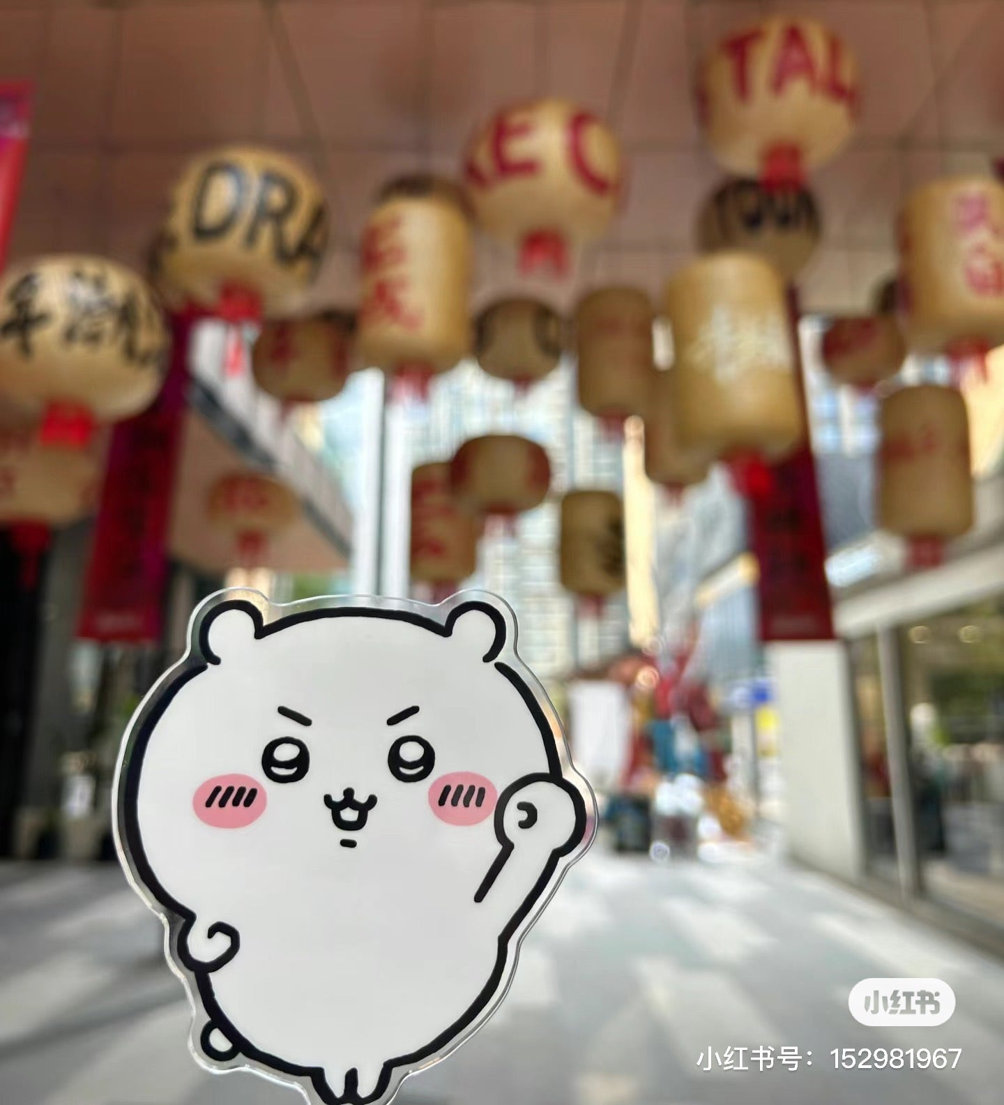 Chiikawa 吉伊卡哇|可爱角色自拍棒|約H115×W77×D7mm