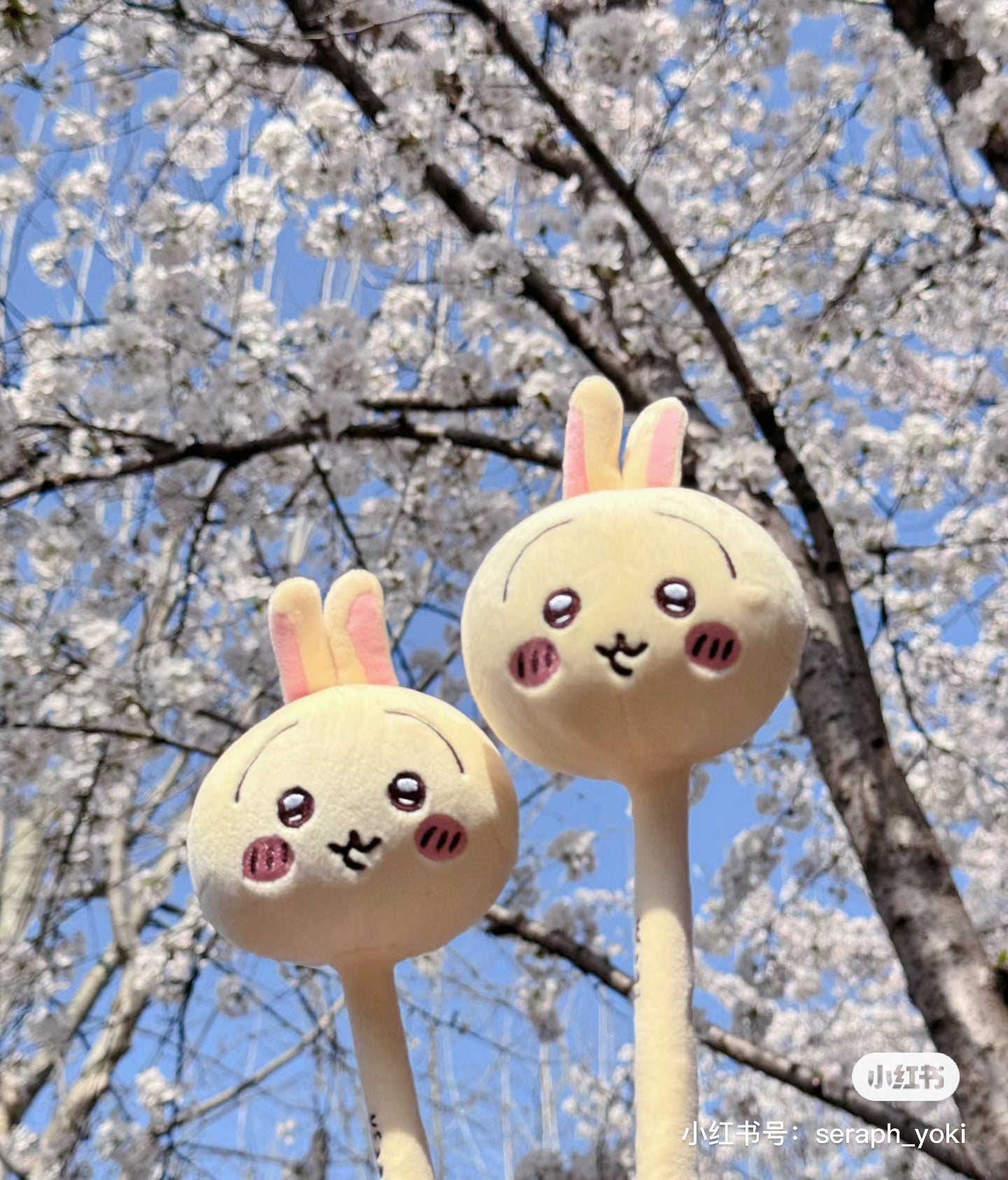 Chiikawa 吉伊卡哇|超可爱大头棒槌|約H370×W95×D55mm