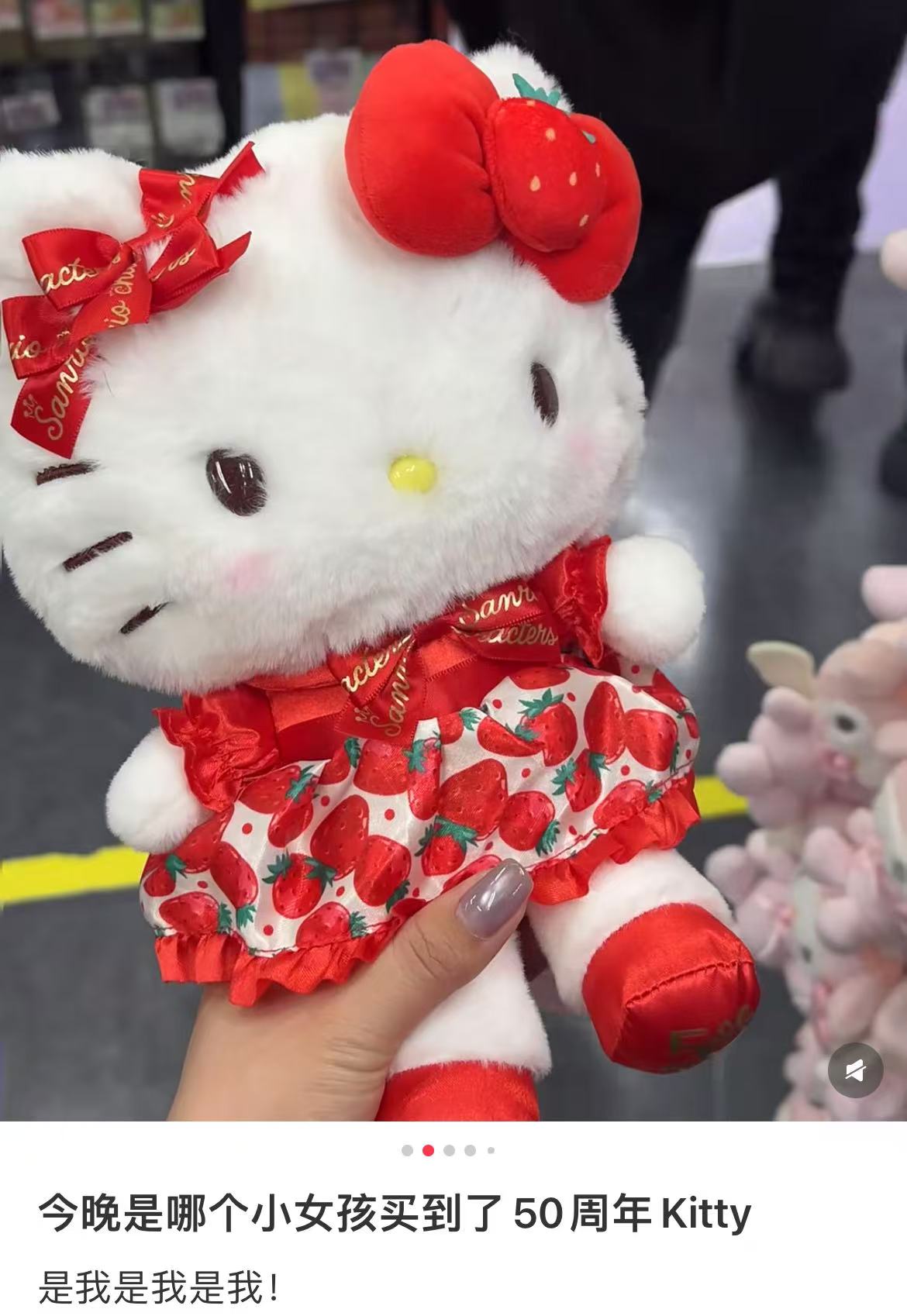 Sanrio|Ichigo Shimbun 50th Anniversary Plush Dolls/Plush Toy|W16.5 x D12.5 x H20.5cm approx.