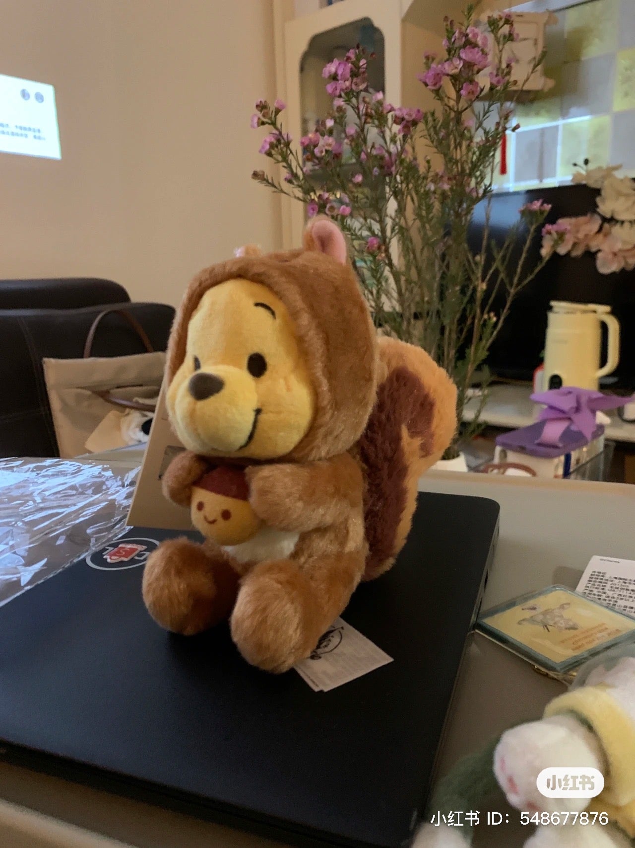 Disney SH|松鼠噗噗/维尼公仔/玩偶/帽帽可脱|S号