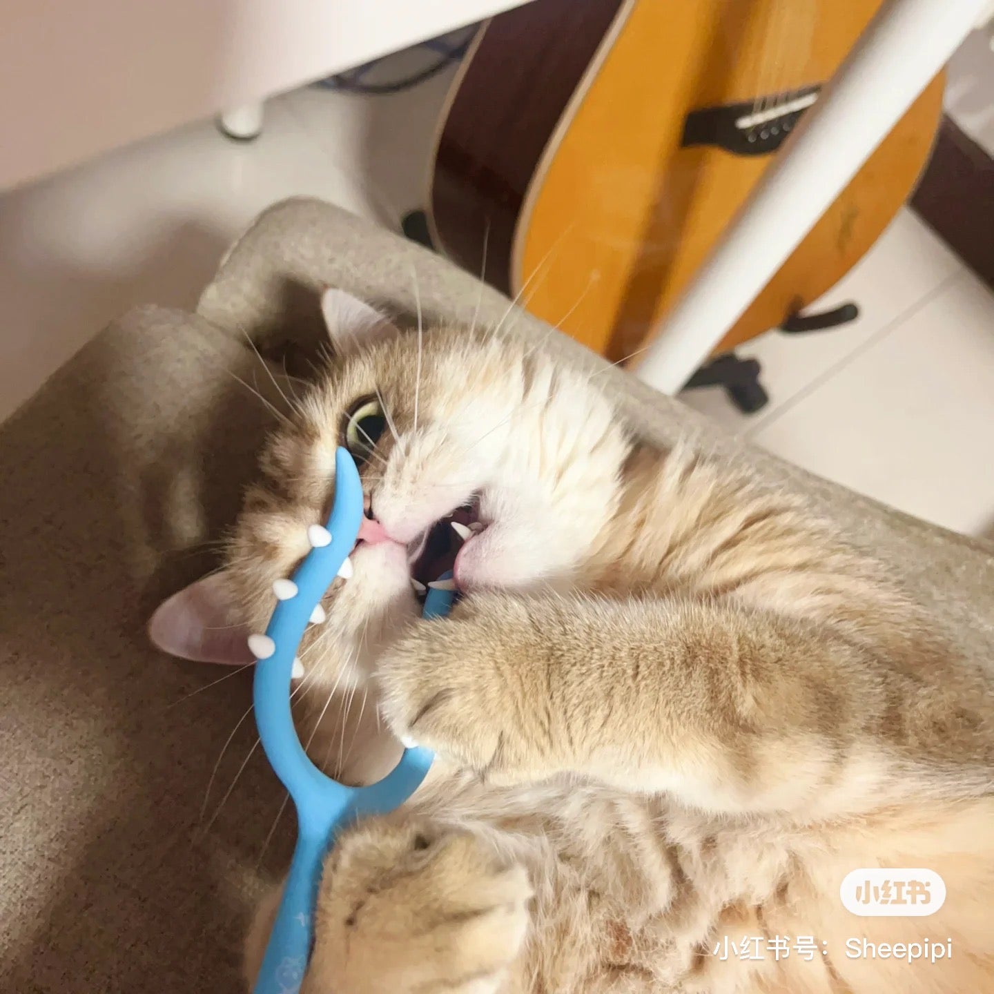 Chiikawa 吉伊卡哇|超可爱讨伐/讨伐棒叉型笔|约H210 x W70 x D7mm