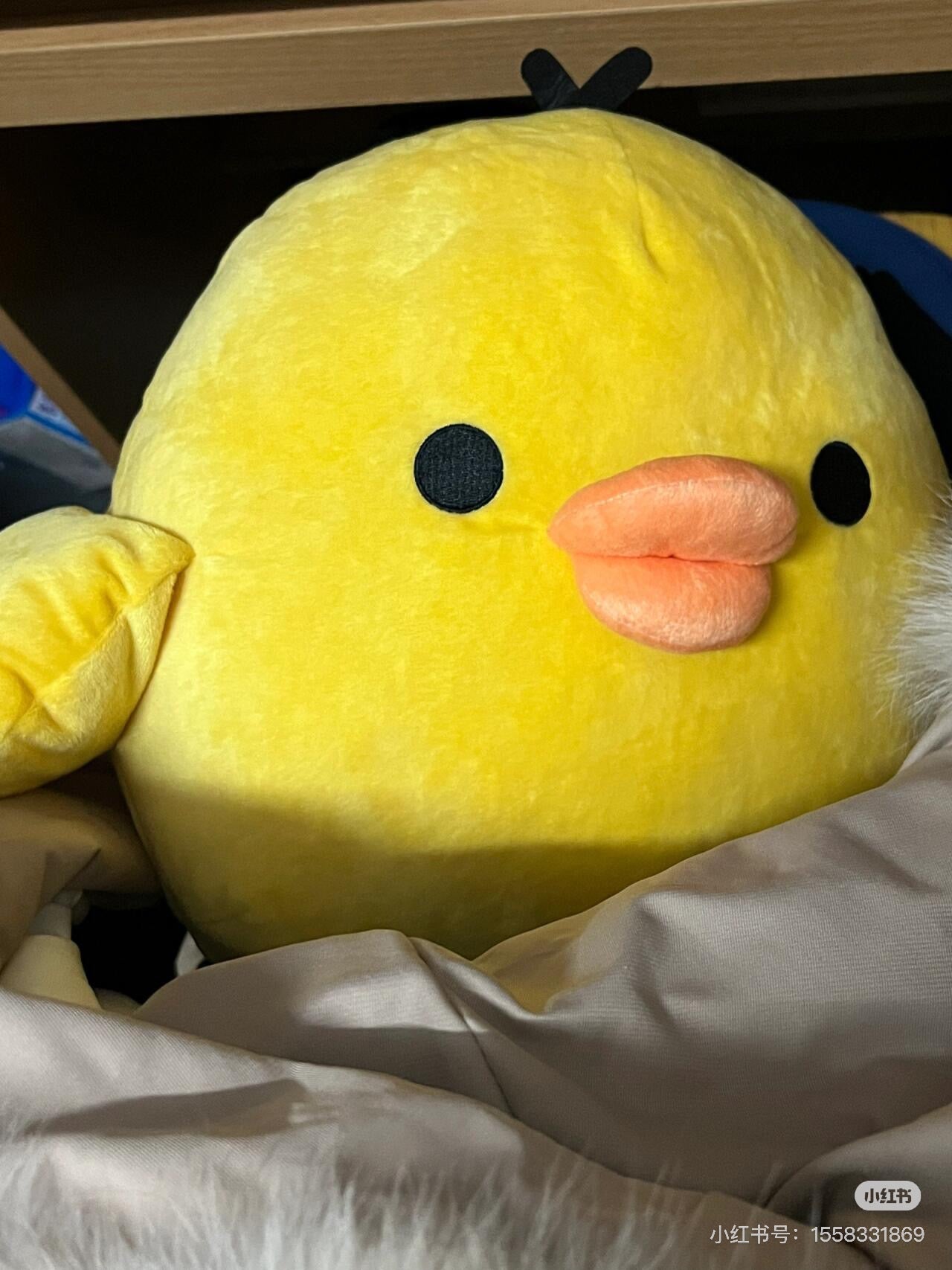 Rilakkuma轻松熊|San-X Stuffed Toy (L) - Kiiroitori超好摸大号鼻孔鸡毛绒玩偶/公仔|約380×430×300mm